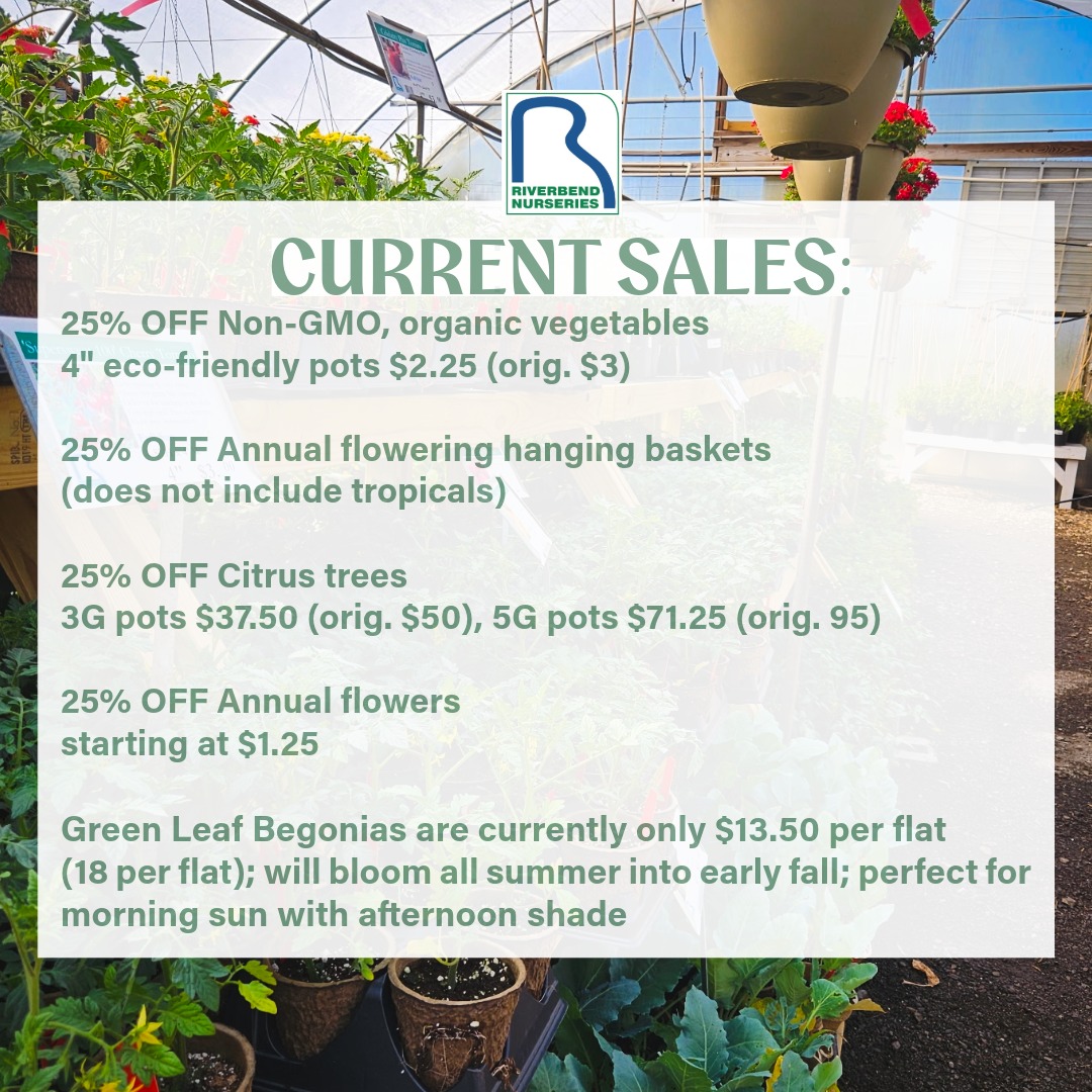 It may be forecasted to be a rainy weekend, but we have dry and beautiful conditions inside our greenhouses! 🎉
Here are our current sales to start your weekend off right!👍