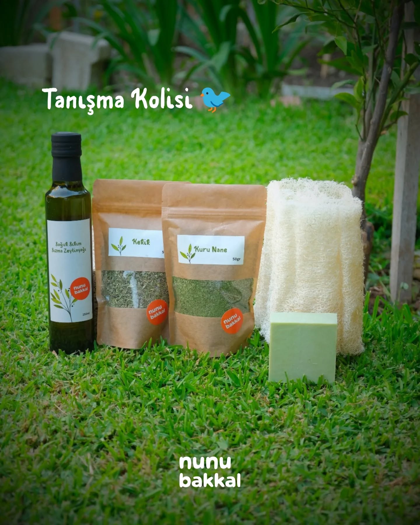 En çok denemenizi, evlerinize konuk etmenizi istediğimiz ilk seçkilerimizi tek bir kutuya sığdırdık: nunu Tanışma Kolisi hazır! 🌱🌼
Dijital raflarımızı ilk kez ziyaret edenler, nereden başlayacağını bilemeyenler veya sevdiklerine dürüst ve sömürüsüz bir Antakya selamı göndermek isteyenler için bakkalımızın en temel ihtiyaçlarını bir araya getirdik.
Sizin için özenle hazırladığımız bu ilk kolinin içinde neler mi var?
🌿 nunu bakım köşesinden:
Defne Sabunu: Arınmanın en saf, o çocukluğumuzdan kalan en bildik kokulu hali.
Kabak Lifi: Banyoda veya mutfakta plastik süngerlere atıksız, %100 doğal bir alternatif.
🍽️ nunu mutfak köşesinden:
Zeytinyağı (250 ml): Arsuz rüzgarıyla büyüyen, toprağın sabrını taşıyan ilk sızma zeytinyağımız.
Kurutulmuş Kekik: Dağların esintisini ve şifasını sofranıza taşıyan katkısız kekiğimiz.
Kurutulmuş Nane: Kokusuyla içinizi ferahlatacak, Hatay güneşiyle kurutulmuş nanemiz.
Bakkalımızın bu en sevilen beşlisini bir araya getirirken tek bir niyetimiz vardı: Paket açıldığında evinize sadece temiz ve %100 vegan ürünler değil; bu coğrafyanın neşesi, emeği ve dürüst gıdası dolsun.
Üstelik bu koliyle de Umut Fonu’muzu büyütüyor; alışverişinizin %3'ünü sokakta yaşayan ve kurtarılmış hayvanların tedavi süreçlerine, bölgedeki doğa koruma çalışmalarına, insana ve dayanışmaya doğrudan aktarıyoruz.
İlk adımı kolaylaştırmak bizden, bu sofrayı ve umudu omuz omuza büyütmek hepimizden. Tanışma Kolimiz web sitemizde sizi bekliyor! 🤍