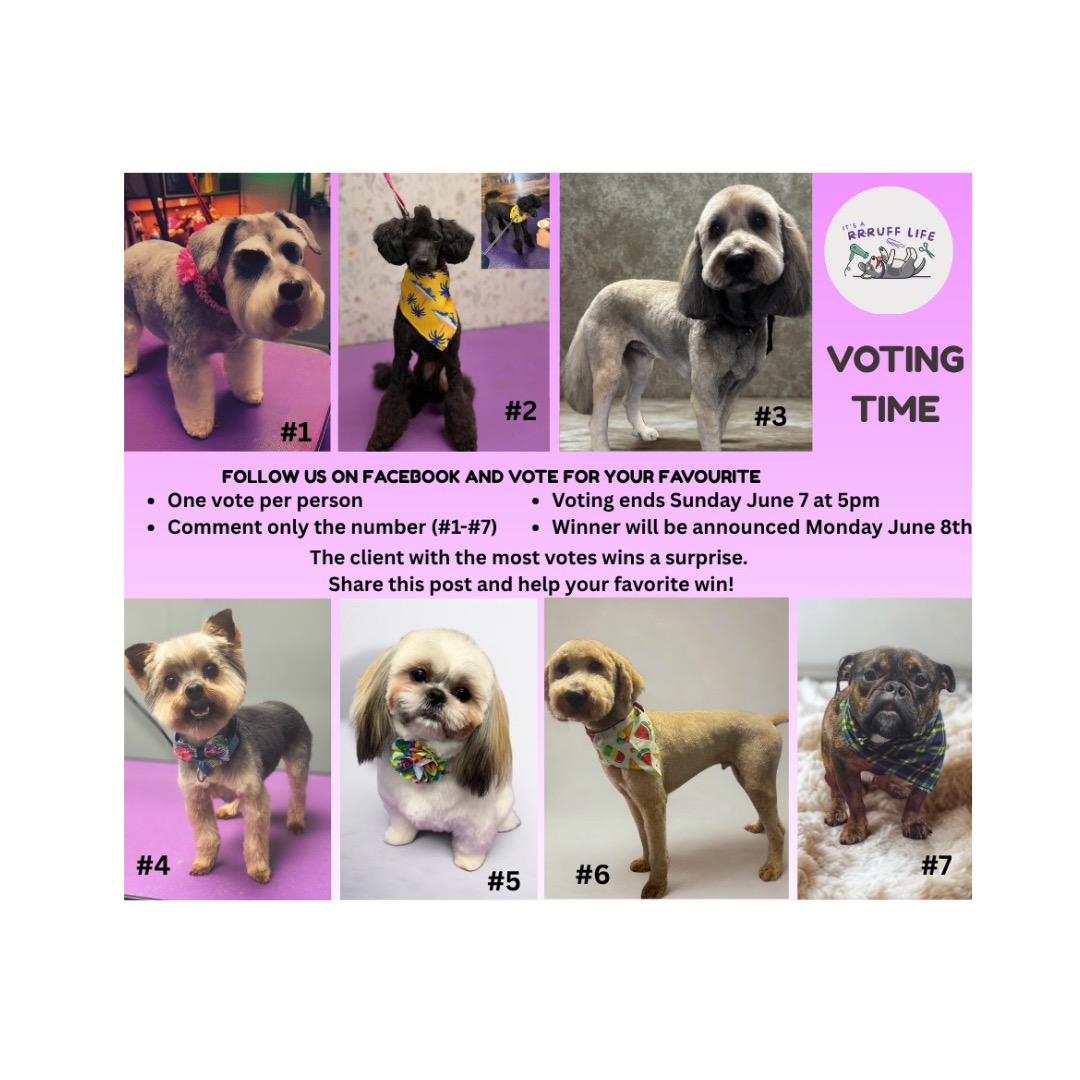 🐾 IT'S VOTING TIME! 🐾
The photos are up & now it's time to vote for your favorite!
Remember, this time **YOU** could be the winner! 🎉
Share your photo with family & friends and encourage them to vote. Every vote counts!
🏆 The client whose photo receives the most votes will win a prize!
Good luck to all of our adorable contestants! 🐶🐾
Voting ends on Sunday June 7th at 5pm.
Winner announced on Monday June 8th. 🎉