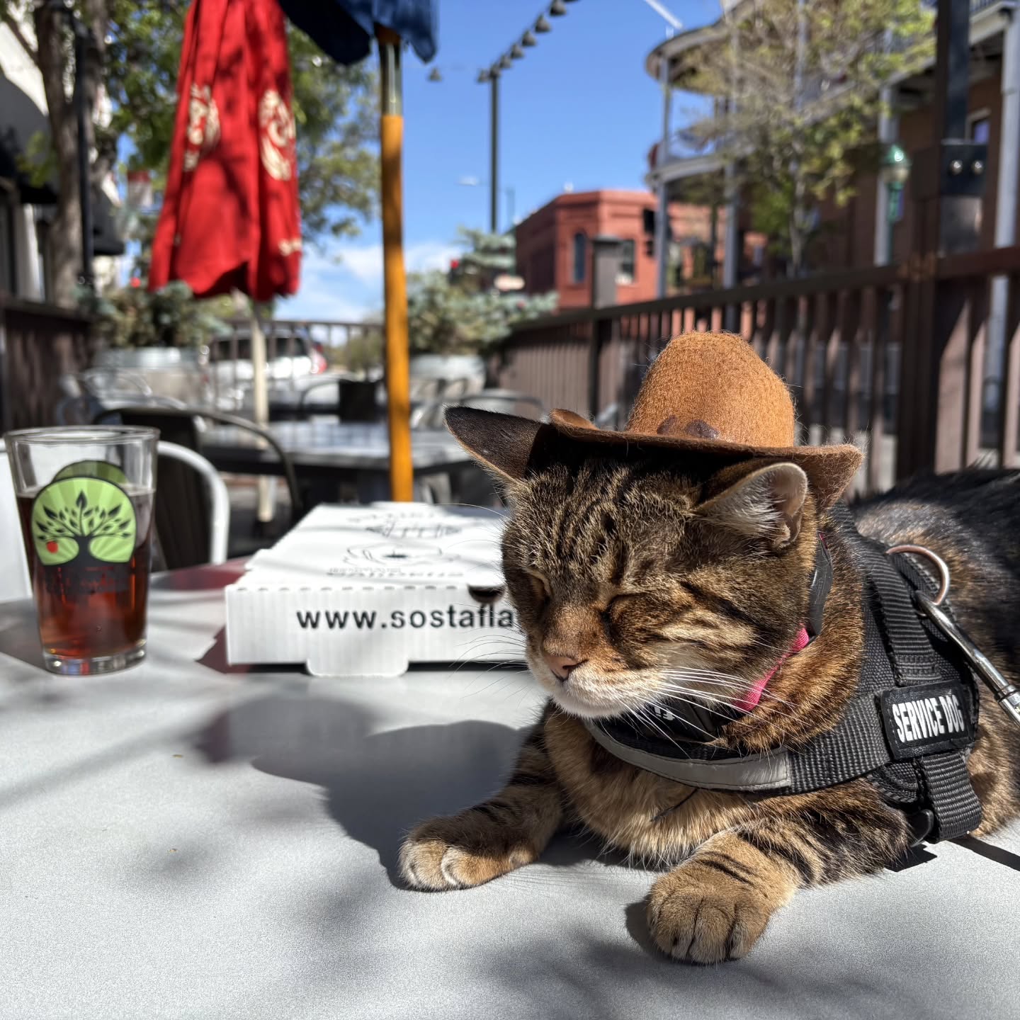 But, have you heard about the cat days of summer? Long naps in the sun, warm breezes easing through green leaves, and the patio at the 'ol Payer.
Nothing beats June in Flagstaff! And there's no better way to celebrate than with a pint and a pie from @pizzicletta.
Tower Tuesday ($1 off) and Happy Hour 2-6!
#payntake #downtownflagstaff #pizzicletta #patioseason #canipetyourdog