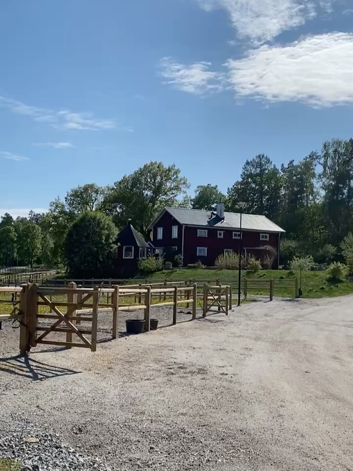 MAJ! Favoritmånaden!💚 Känns som jag knappt hunnit stanna upp och njuta av dej och snart har du passerat!
Här kommer en av förra veckans två egna planteringar. En ståtlig hästgård utanför Sigtuna ska invigas nu på söndag. 🐎 Och visst behövdes då en tom yta framför stallet fyllas men skönt grönt innehåll. Förfrågan kom för två veckor sedan så ibland får man trolla det lilla extra för att få ihop planering; växtbeställning och anläggning på väldigt kort tid. Att de 3 körsbärsträden vi även satte vid paddocken blommat över gör inte så mycket, de kommer stå länge!🌸💚 lycka till på invigningen! @agevalldressyr ☀️