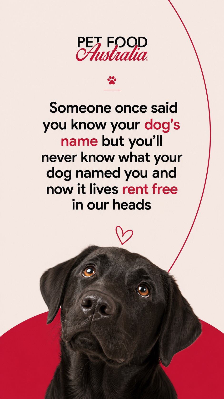 You know your dog’s name.
You say it every single day.
But you will never know what your dog named you.
And now we cannot stop thinking about it either.
#PetFood #dog #pet