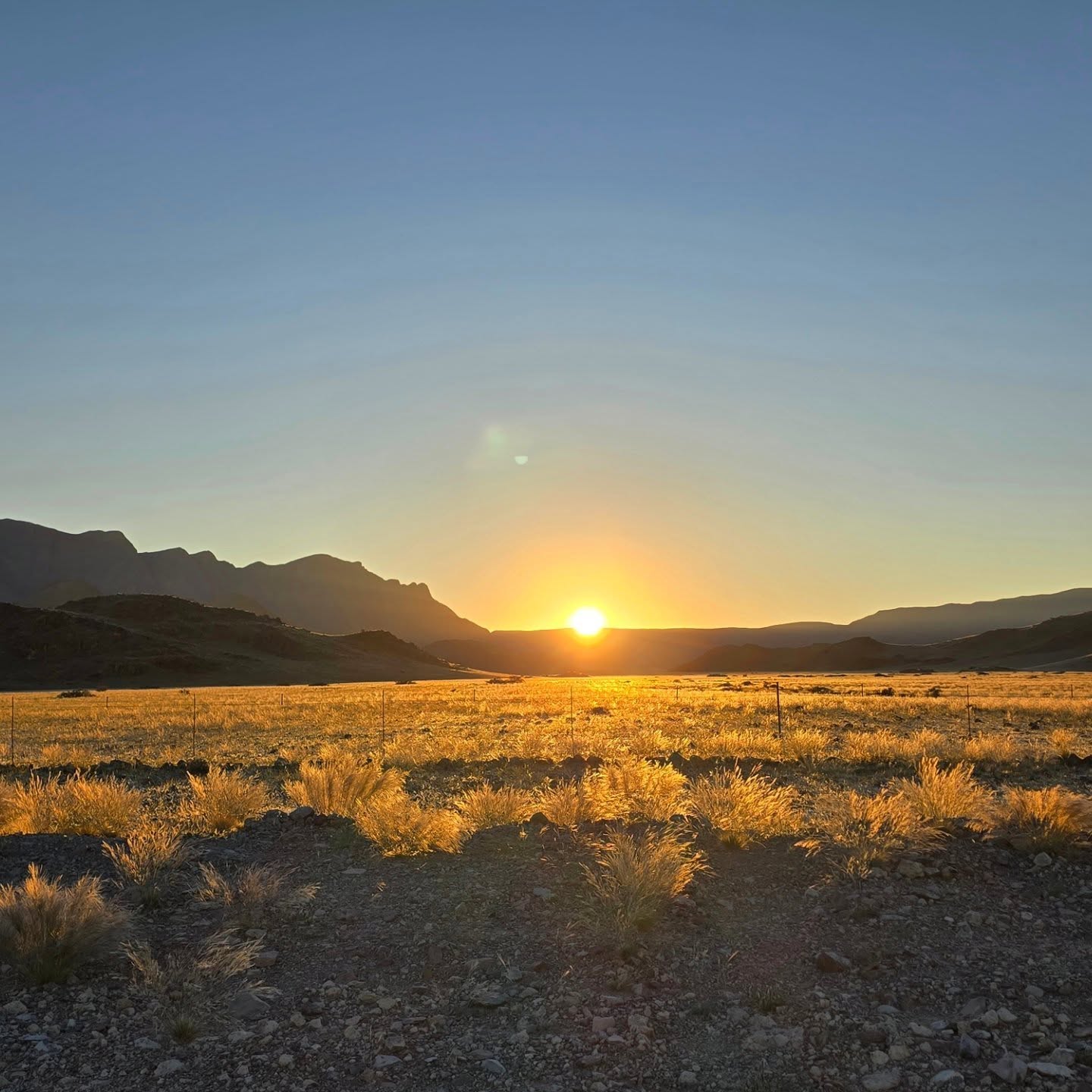 Sunrise in the Namib-Naukluft National Park.
#namibia #visitnamibia #namibnaukluft #sunrisenamibia