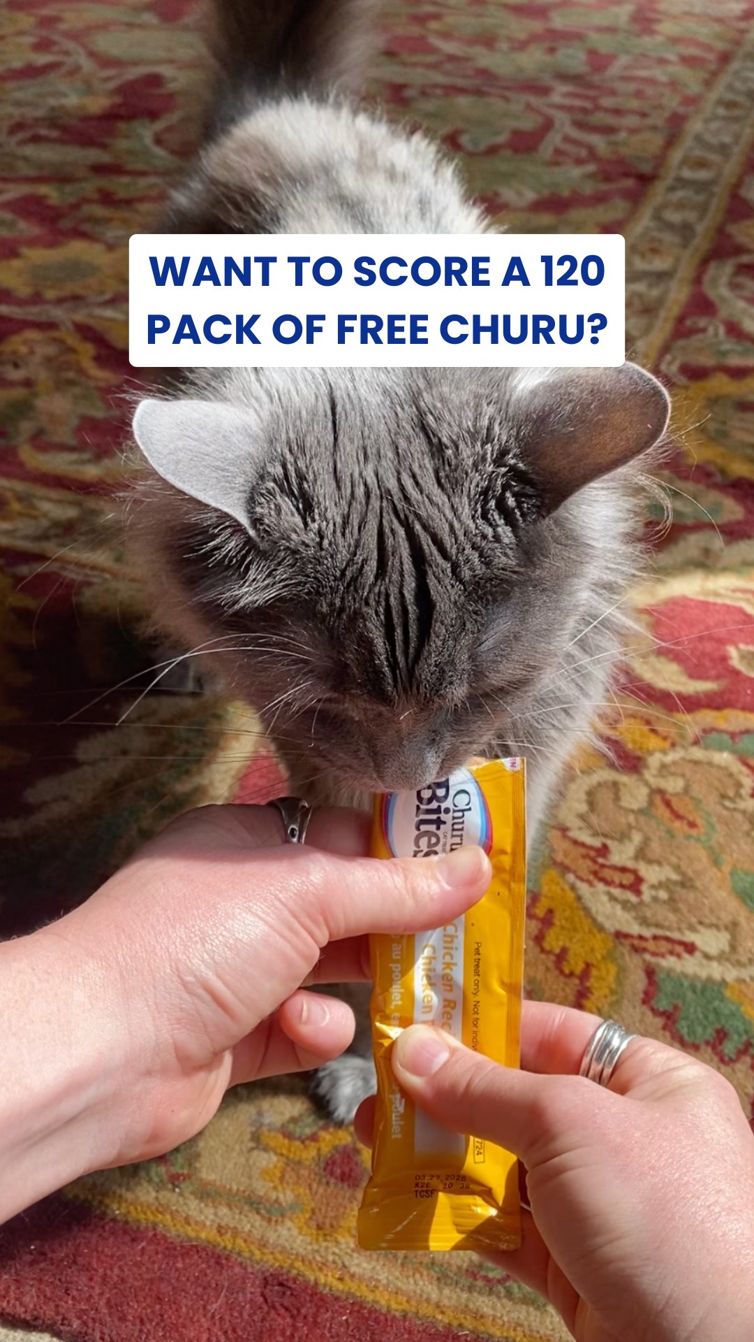 Want to score a free Automatic Pet Feeder (RRP $419), PLUS a 120 pack of Churu?
Check out our pinned post 🏃♀️ ⌛
#Churu #CatTreats #HappyCat
