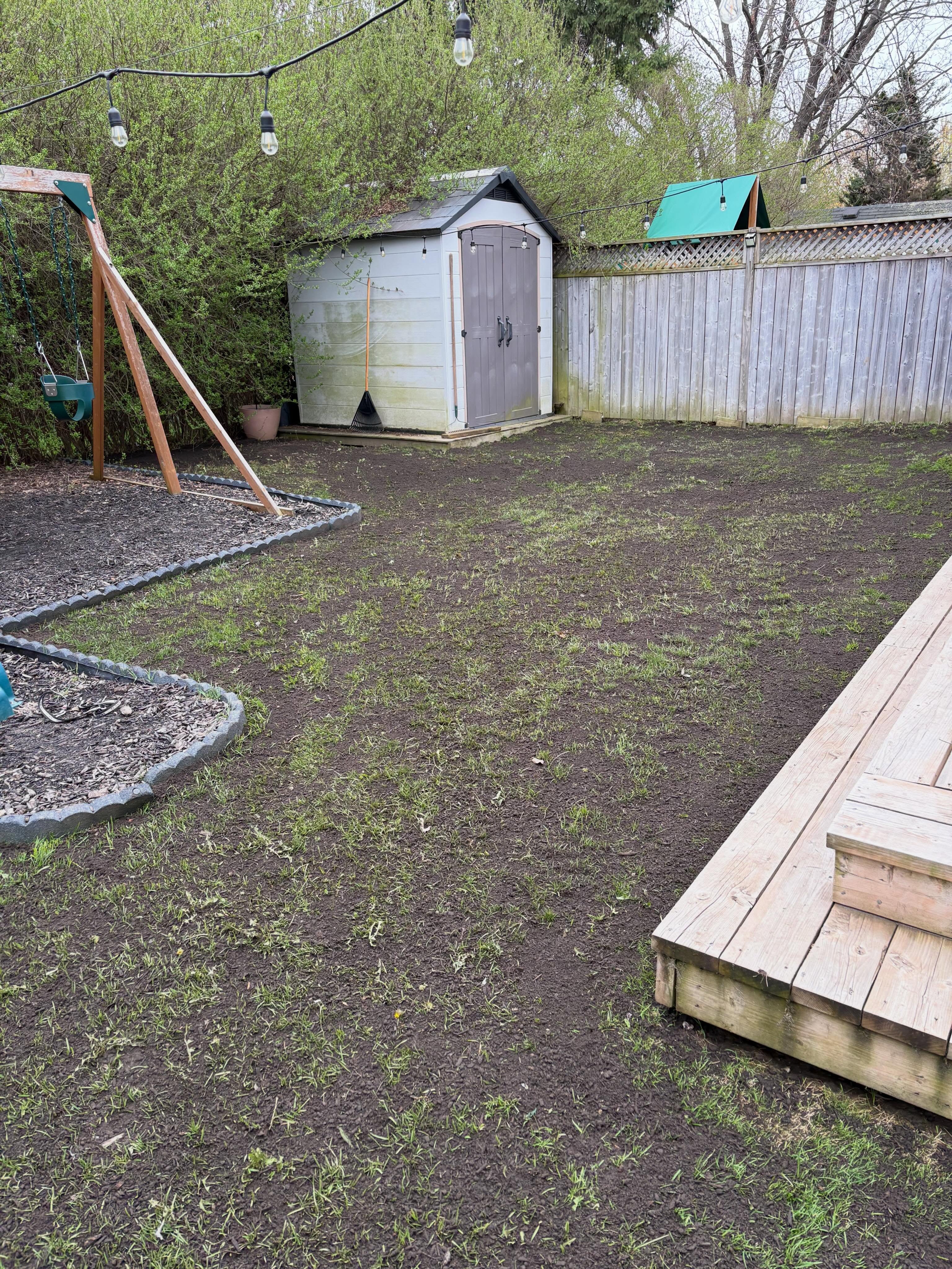 Delivery and spread of 1 x cubic yard of premium black soil, with overseeding.