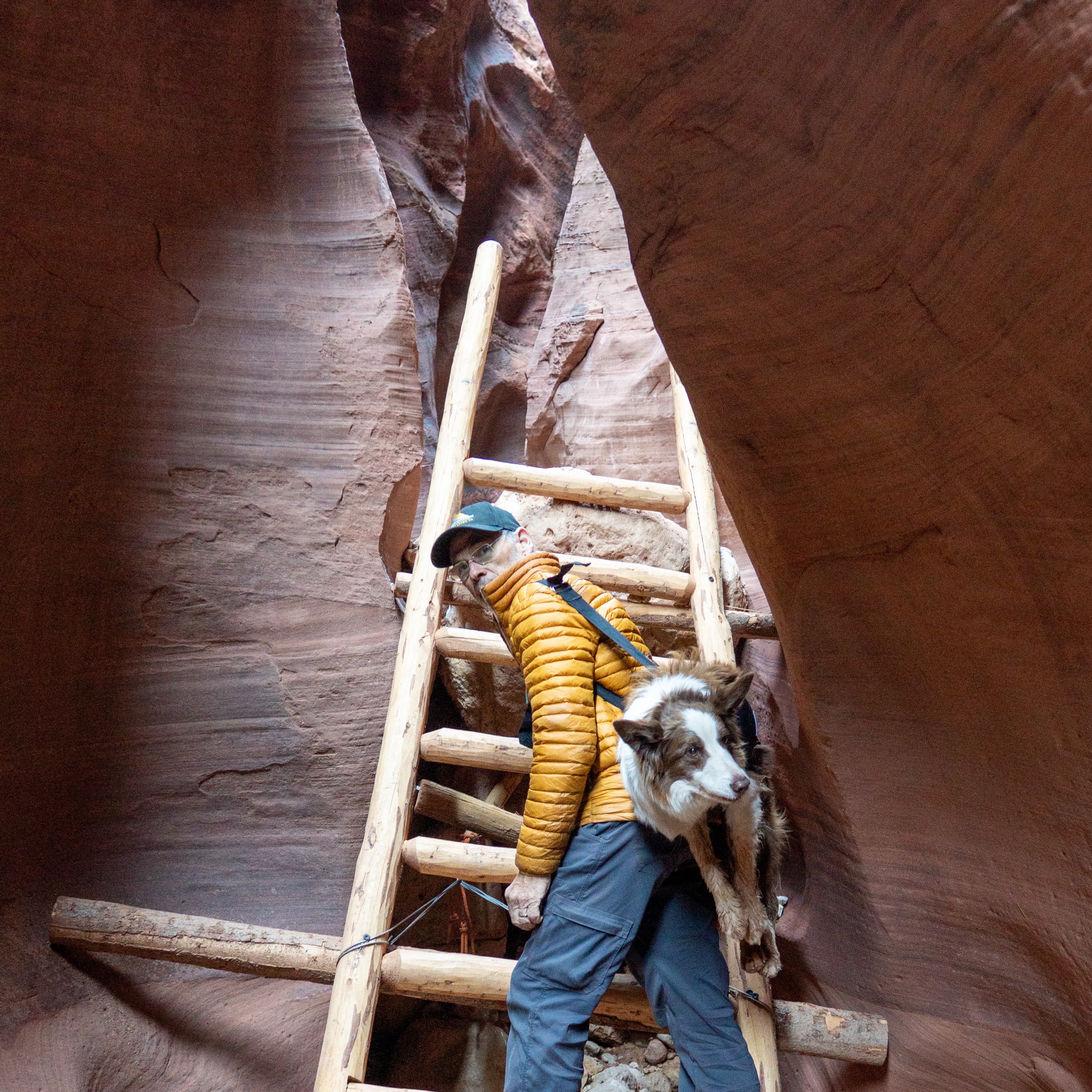 Canyon dog!
Me in my Stio Pinyon down sweater. I bought this one, then ended up as a Stio influencer, so I then got a hooded Pinyon jacket too! Love them.
#stioaffiliate @stio #buckskingulch