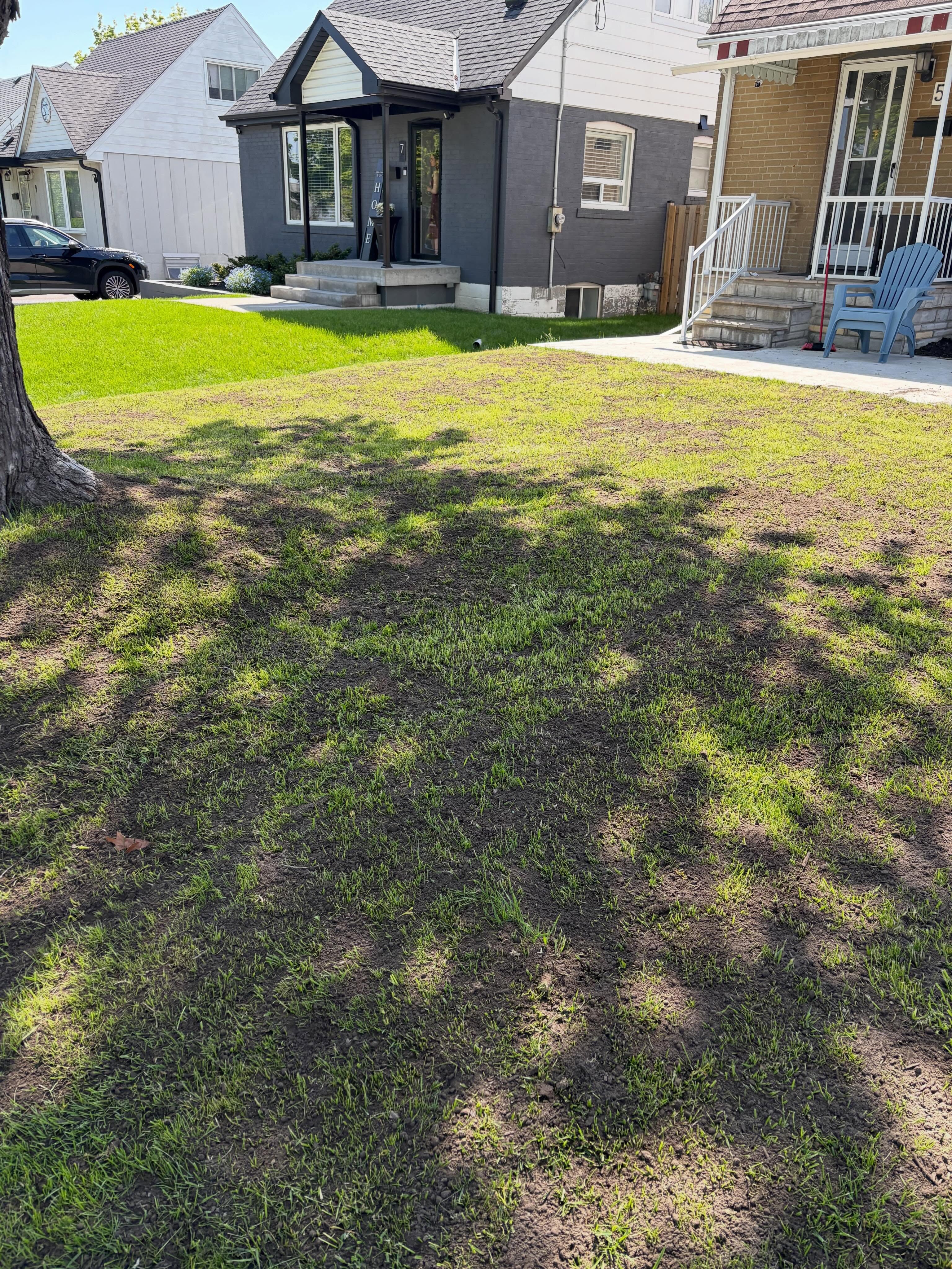 Levelling the lawn - our customers in Etobicoke had a very uneven lawn and needed help levelling it out. We brought in 2.5 cubic yards of 50:50 mix soil which has a higher sand content than a triple mix blend. Overseeded at the end.