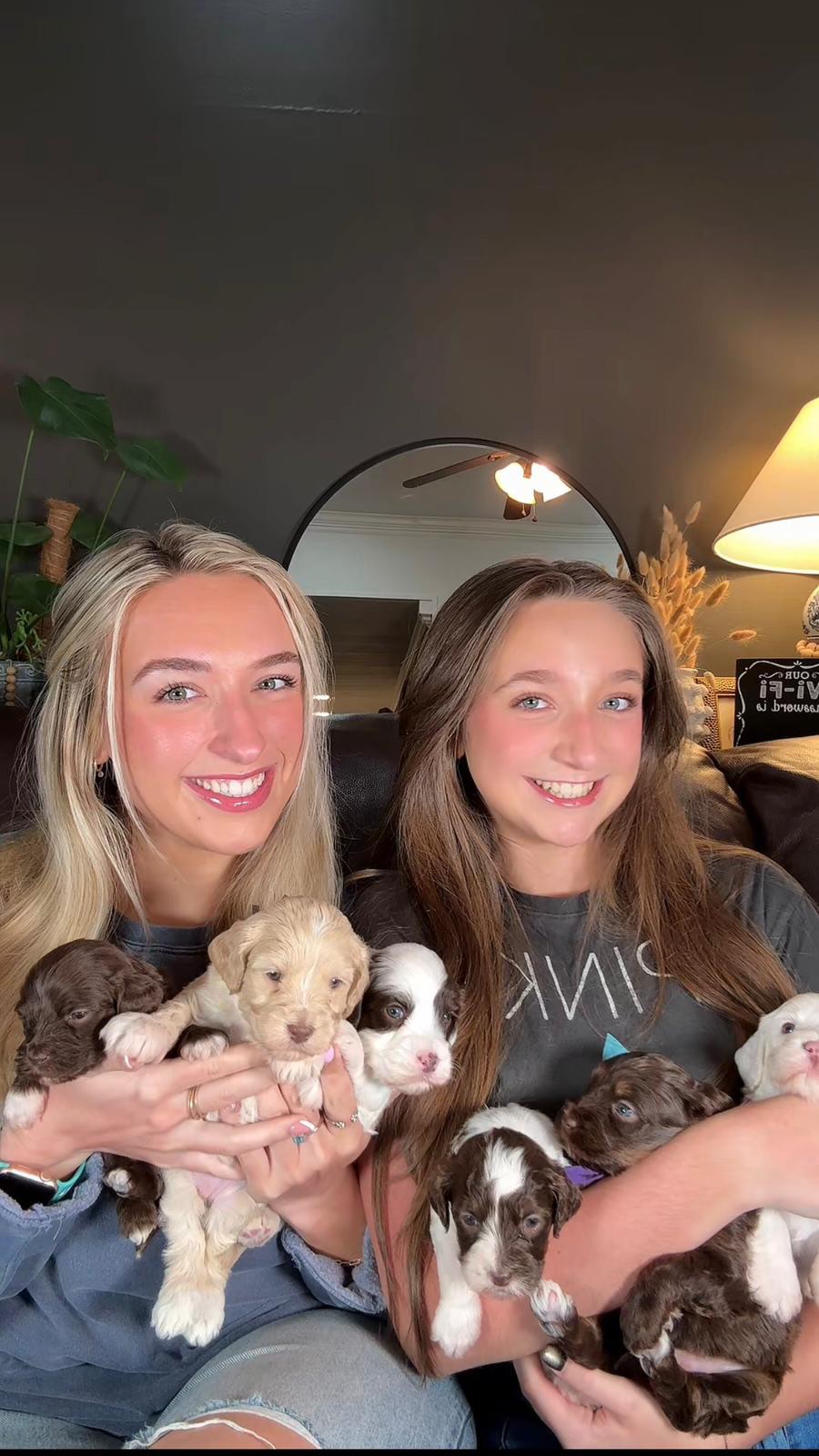 š„ SallyAnn & Juju Take Over: Boots, Trails & Tails Edition š„¾š¾
āYāall, can you believe these babies are going home in just 4 short weeks?!ā
SallyAnn and Juju are spending some quality time with our Boots, Trails & Tails puppies, soaking up every snuggle while they can. These little adventurers are growing fast and their personalities are starting to shine. From confident explorers to laid-back cuddle bugs, this litter is full of everything we love about the Australian Labradoodle breed.
Raised right in our home with plenty of love, socialization, and daily adventures, these puppies are already stealing hearts everywhere they go.
Only a handful of opportunities remain in this litter. If youāve been dreaming about adding a furry trail buddy, couch companion, and best friend all wrapped into one, now is the time to reach out.
The countdown is on⦠just 4 weeks until go-home day and these sweet faces wonāt be little for much longer. š¤š¾
#SouthernMeadowsDoodles #BootsTrailsAndTails #AustralianLabradoodle #PuppyLove #RaisedWithSouthernCharm MiniLabradoodle FutureBestFriend PuppiesOfInstagram SMDPups GoingHomeSoon