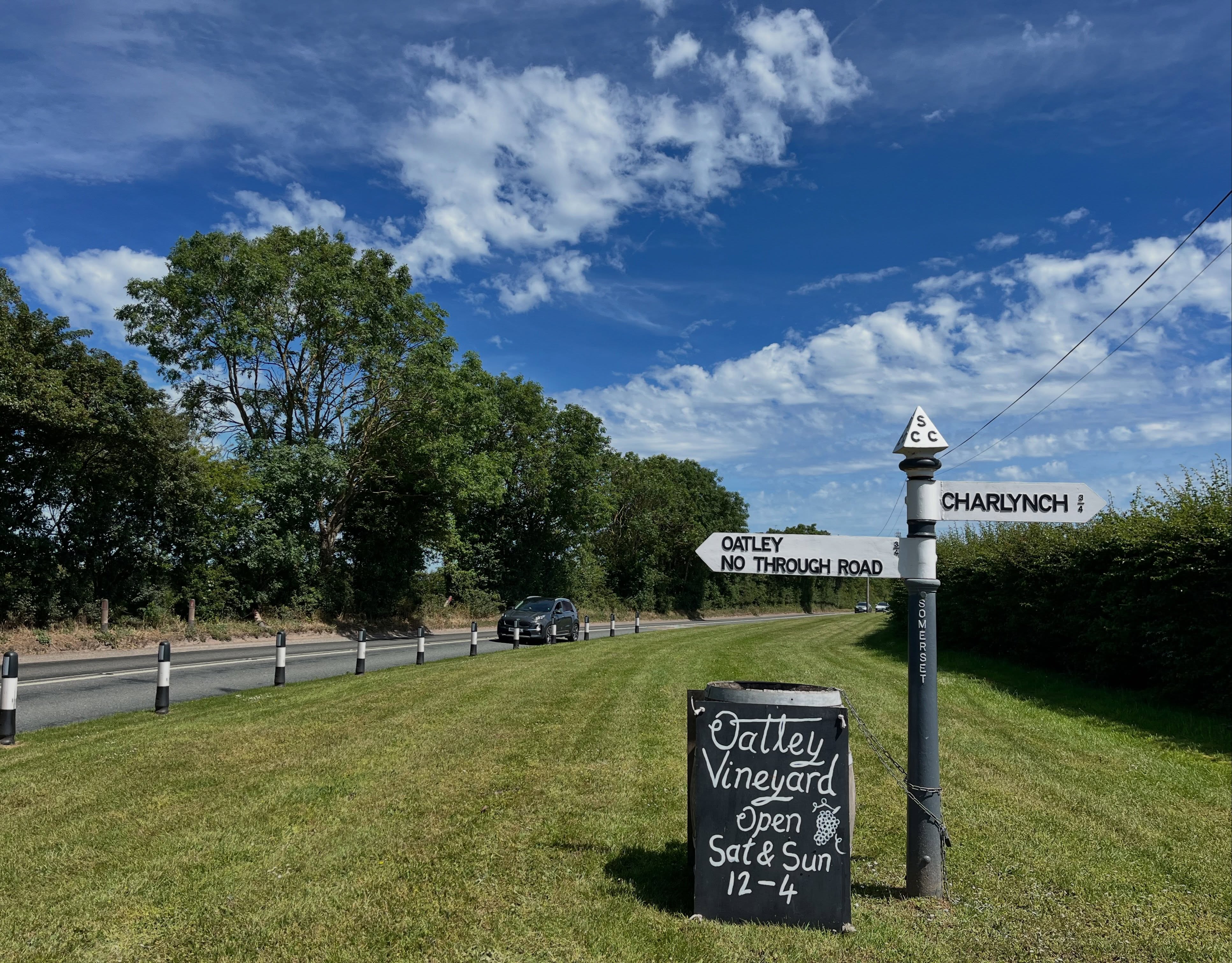 Summer opening is here! Weekends 12-4 for sales, taste-before you buy, wines by the glass or chilled bottle to drink overlooking the vines. Free parking and tasting, dogs welcome.
You can also book private tastings or a private picnic spot in the vines for a self guided tasting. Details on our website, link in bio.
