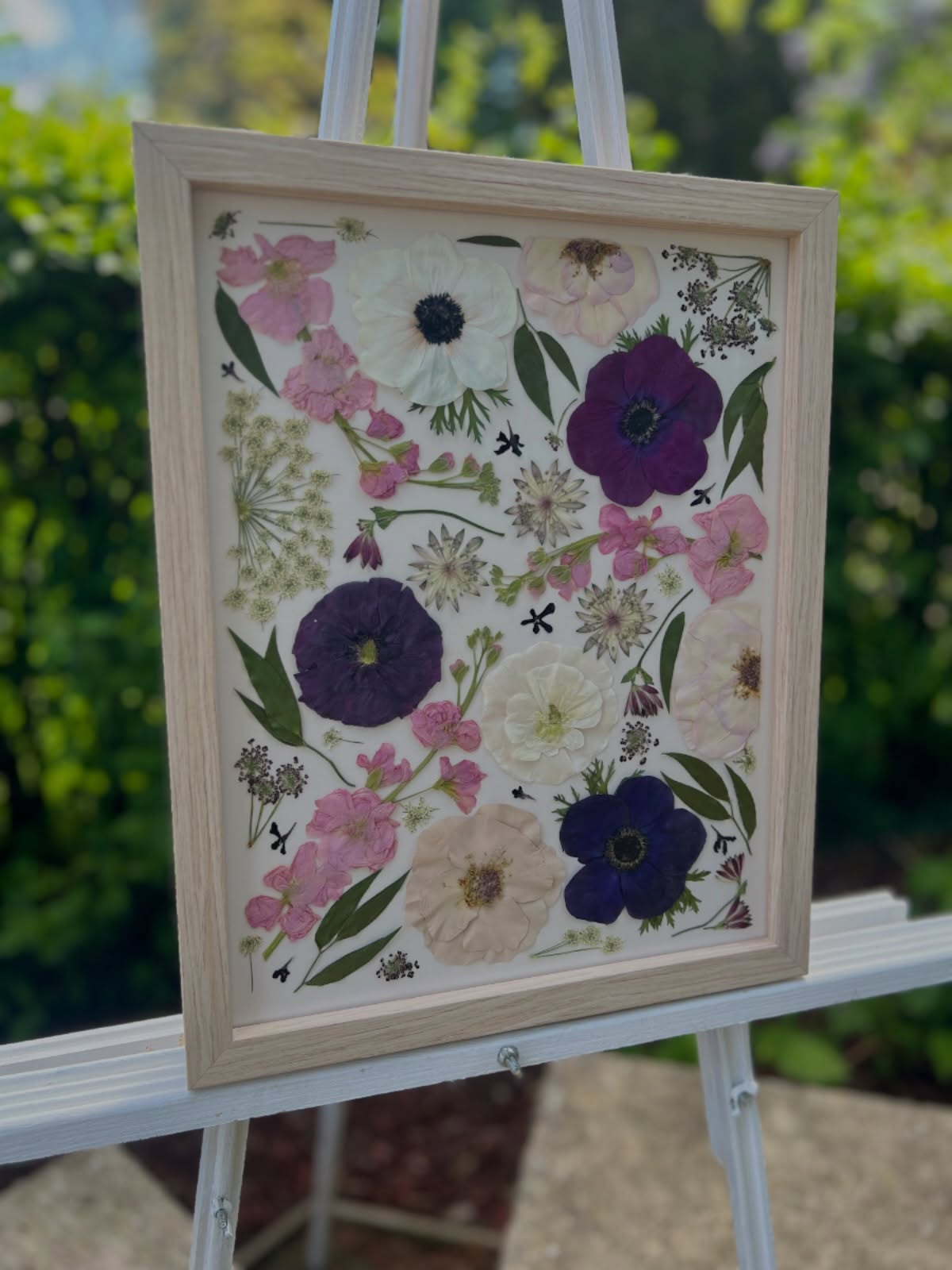Can we take a moment for these Anemones 😭💜🌸
Arianna’s pressed bouquet went home this weekend!
Frame: Natural Oak
Background: Cream
Design: Freestyle
#BouquetPreservation
#PressedFlowers
#WeddingBouquetPreservation
#PressedFlowerArt
#OntarioBride