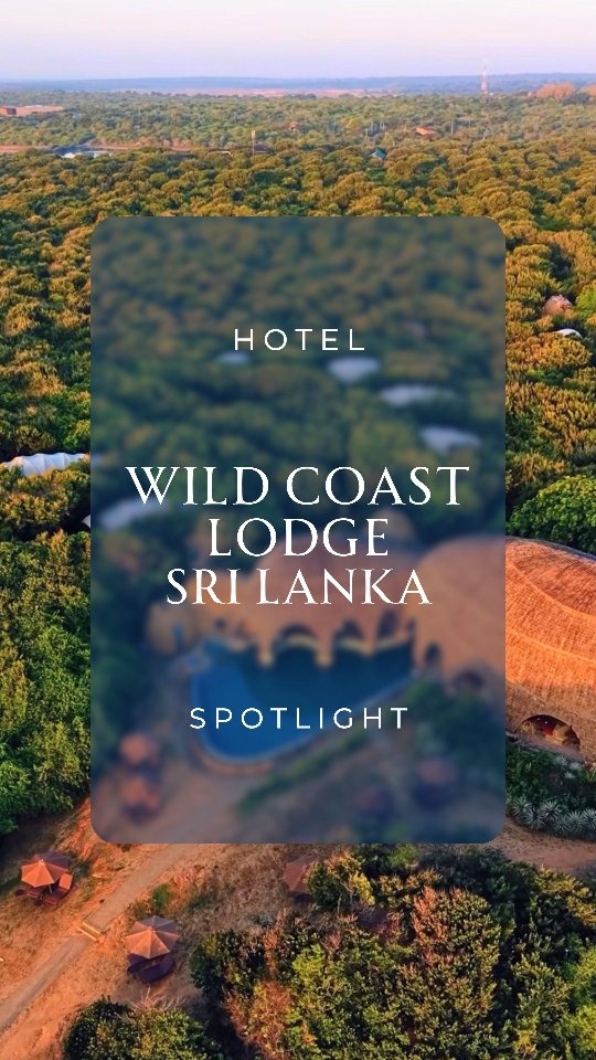 Where the jungle meets the Indian Ocean, luxury has no limits.
Sri Lanka doesn't get enough credit — and Wild Coast Tented Lodge (@wildcoastlodge) is exactly why. This property sits on the edge of Yala National Park, home to leopards, elephants, and sloth bears, with 28 stunning "Cocoon" tents designed around natural watering holes and gourmet safari cuisine that will surpass every expectation.
Ancient culture, lush landscapes, pristine beaches — this is the trip that changes your perspective.
Let us take you there. ✨
_____________
Travel well. Travel with intention.
#SriLanka #WildCoastTentedLodge #LuxuryTravel #YalaNationalPark #SafariLuxury