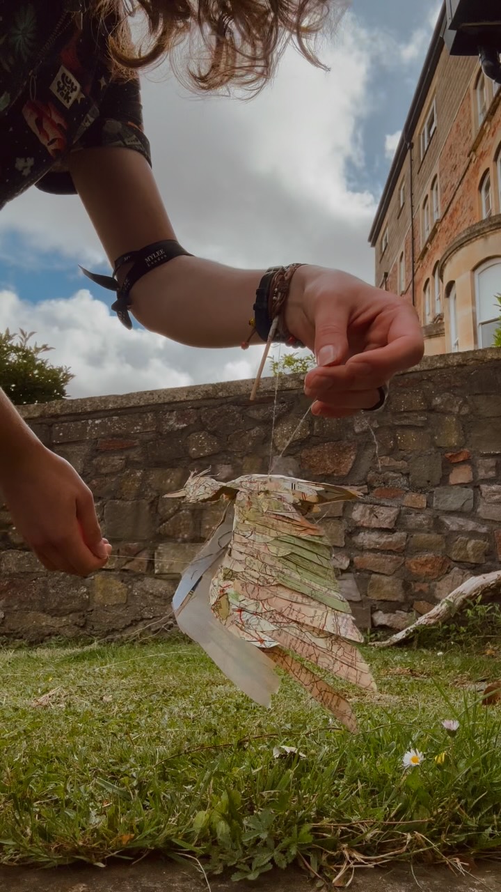 puppets with strings attached !
.
#trial #fyp #puppets #bird #skylark