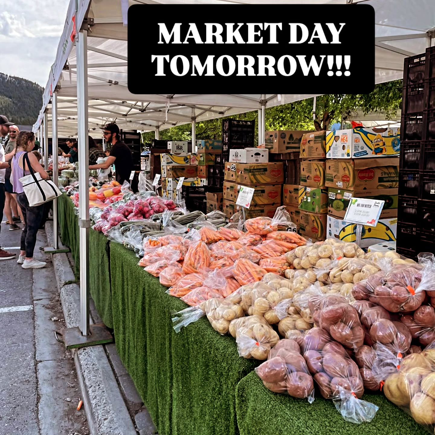 #banfffarmersmarket #banfftown #banffnationalpark #bowvalleylocals