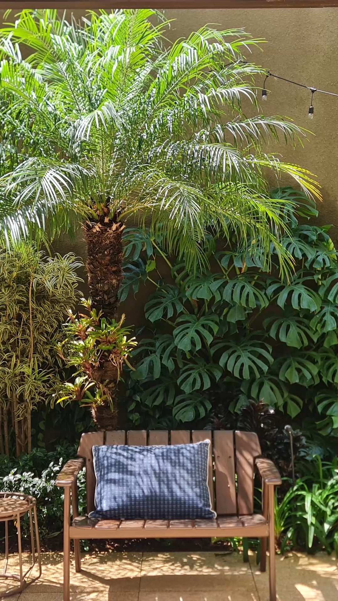 Todo projeto começa no olhar.
Entre desenhos, escolhas de materiais e composição das plantas, cada detalhe é pensado para criar ambientes mais equilibrados, naturais e conectados com quem vive ali. ✨
Porque projetar também é perceber: a luz, os materiais e o potencial que a natureza tem de transformar cada espaço.
#anniverdi #odilonclaro #processocriativo #paisagismoautoral #designbiophilico