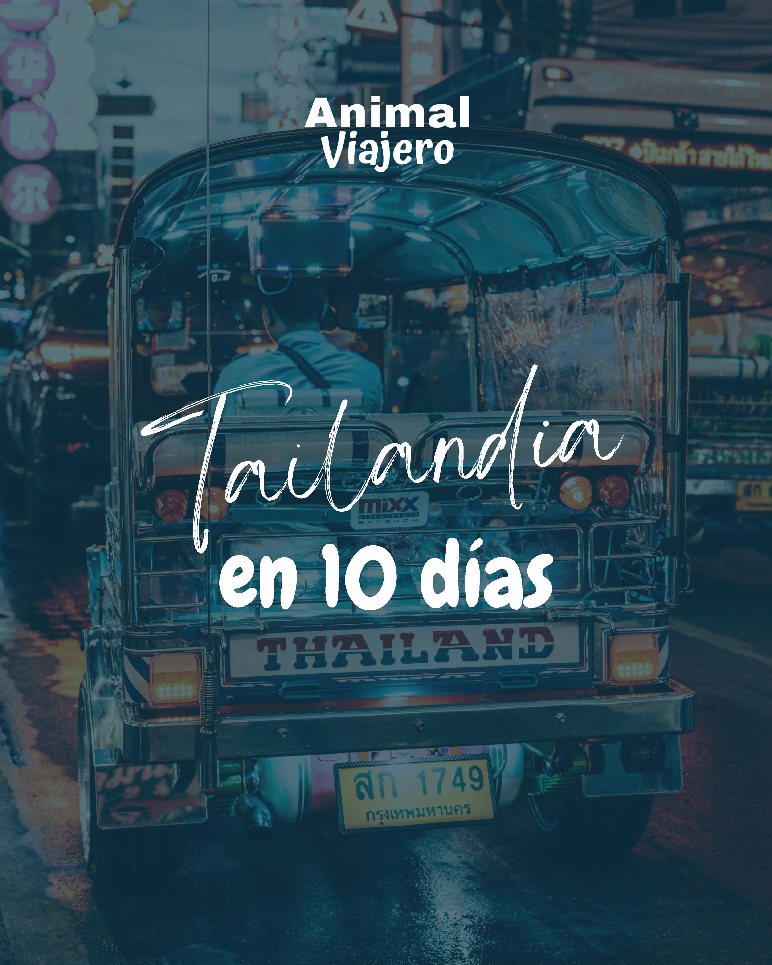 Desde los impresionantes templos de Bangkok 🛕, hasta las playas paradisíacas de Phuket y Krabi 🌊, cada rincón combina cultura, historia, gastronomía y aventura de una forma única.
🍜 Prueba sus sabores auténticos, recorre mercados flotantes, navega entre islas de ensueño y déjate sorprender por la calidez de su gente.
📍Si buscas un viaje que lo tenga todo: tradición, naturaleza, diversión y paisajes inolvidables, Tailandia te está esperando.
#Tailandia #Thailand #AnimalViajero