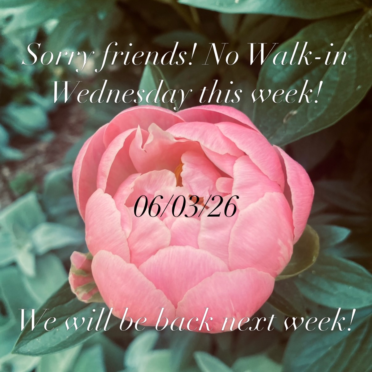 We will be closed to walk-ins Wednesday June 3rd! Feel free to submit a Tattoo Request Form to schedule with us soon!