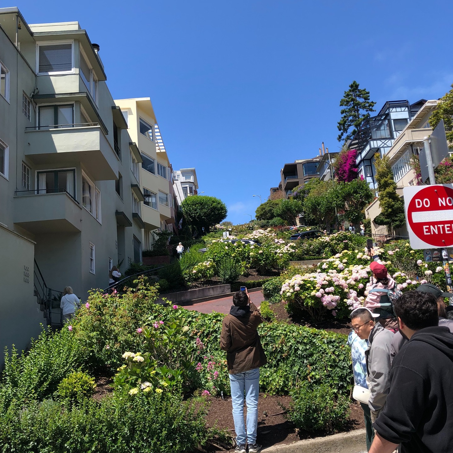 We spent the weekend in San Francisco taking in the sights, including the famous Lombard Street, often called the most crooked street in the world! š
Looking at all those twists and turns we could not help but think that is what a misaligned spine can feel like from the inside!
The good news is that unlike Lombard Street, we can actually straighten things out. š
We are back in the office and ready to see you. Give us a call and let us get your spine feeling less like Lombard Street and more like a smooth open highway!
š (330) 928-3420
š https://www.levinsonchiro.com
#SanFrancisco #LombardStreet #ChiropractorHumor #CuyahogaFalls #AkronOhio #FamilyChiropractic #SpinalHealth #BackInTheOffice #NortheastOhio