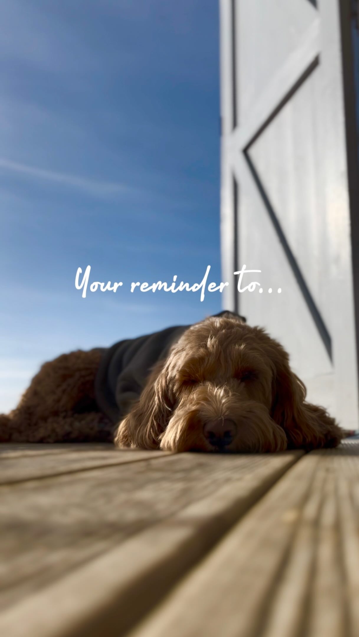 Your Sunday reminder to...✨
Just slow down...✨
And if you need reminding every now and then give it a save... ✨
#slowdown #beachlife #beachhut #beachhuthire #essex