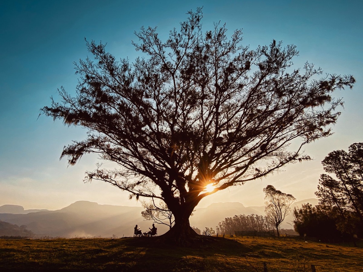 Você não precisa atravessar o mundo para viver uma experiência inesquecível. 🌿✨
Imagine começar o dia caminhando entre gigantes paredões de pedra, respirar o ar puro das montanhas e, no final da tarde, encontrar um picnic preparado especialmente para você em um dos cenários mais impressionantes do Brasil.
Aqui, cada detalhe é um convite para desacelerar, contemplar e criar memórias que vão muito além de uma simples viagem.
📍 Cânions do Sul
🥐 Picnic exclusivo em meio à natureza
📸 Cenários que parecem ter saído de um filme
Se você ama natureza, aventura e experiências autênticas, siga nossa página e descubra os lugares mais incríveis dos Cânions do Sul.
❤️ Marque aquela pessoa que viveria essa experiência com você.
#CanyonsDoSul #PraiaGrandeSC #Ecoturismo #TurismoDeExperiência #PicnicNaNatureza