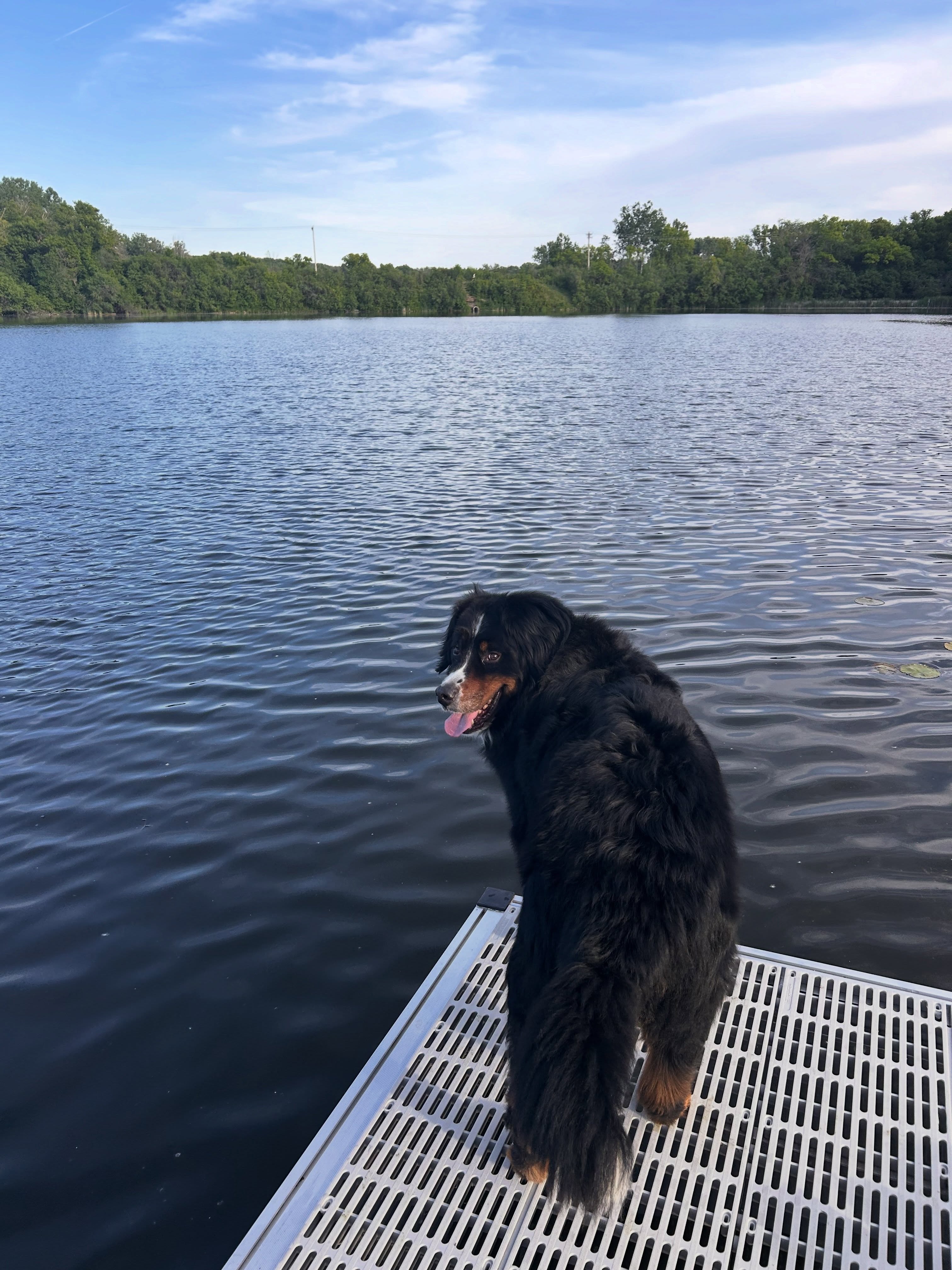 Dock dog!
Swipe to see Ernie with his little lake buddy. 💟
Do you think he’s keeping an eye out for fish or watching out for her? 🎣