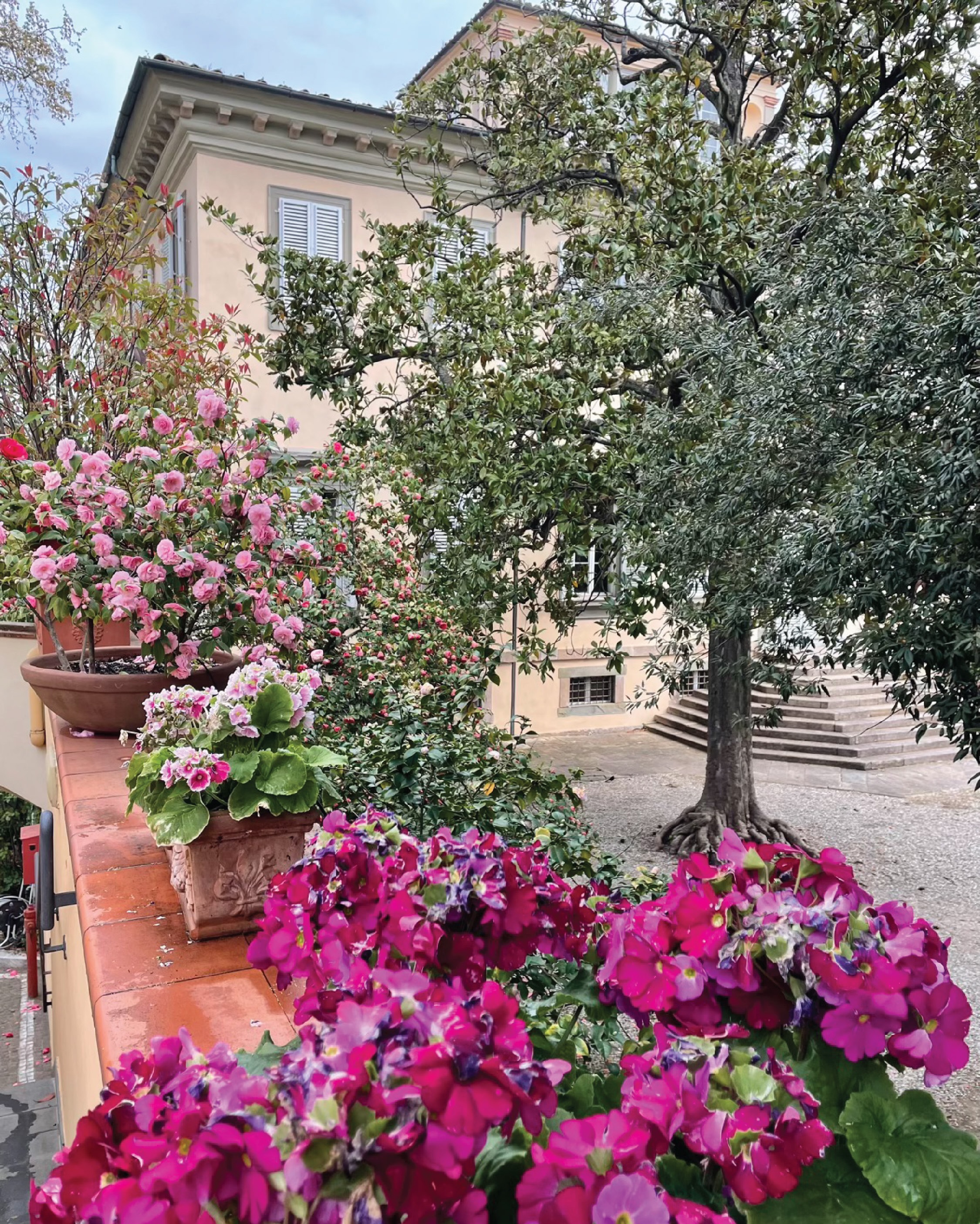 We’re returning to Italy in June, so naturally we’ve been daydreaming about our favorite parts of traveling there.
The photos are beautiful, but the most memorable moments are often the long meals, familiar places, and good company.
#Handbells
#HandbellConcert
#MusicTravel
#TuscanyExperience
#VisitItaly