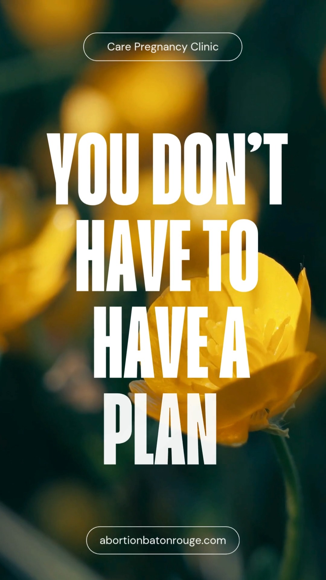 #Abortionclinicnearme #abortionprovider #freeultrasound #abortionpillnearme #freepregnancytest