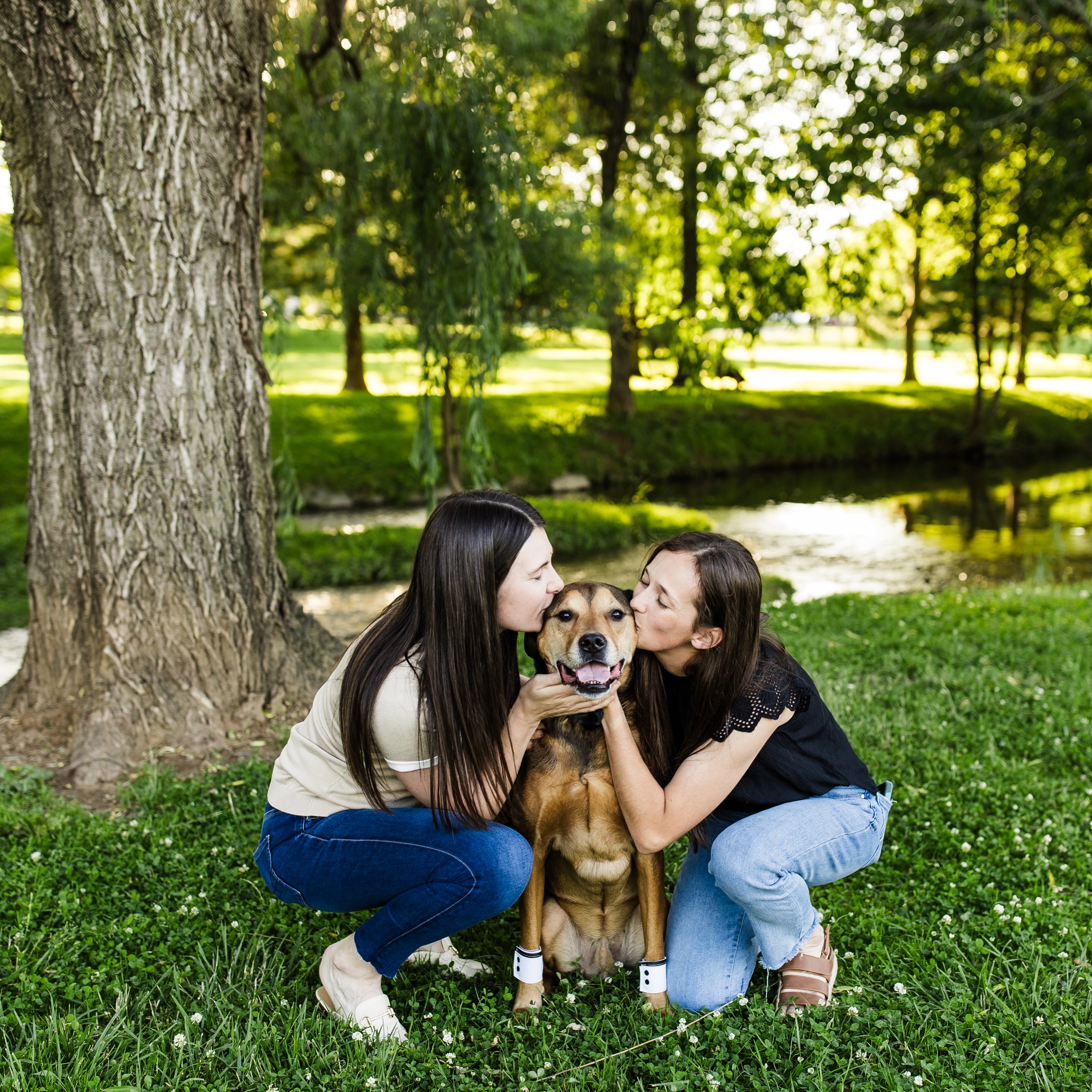Maddox’s mommas are getting hitched and he’s ready to paw-ty!