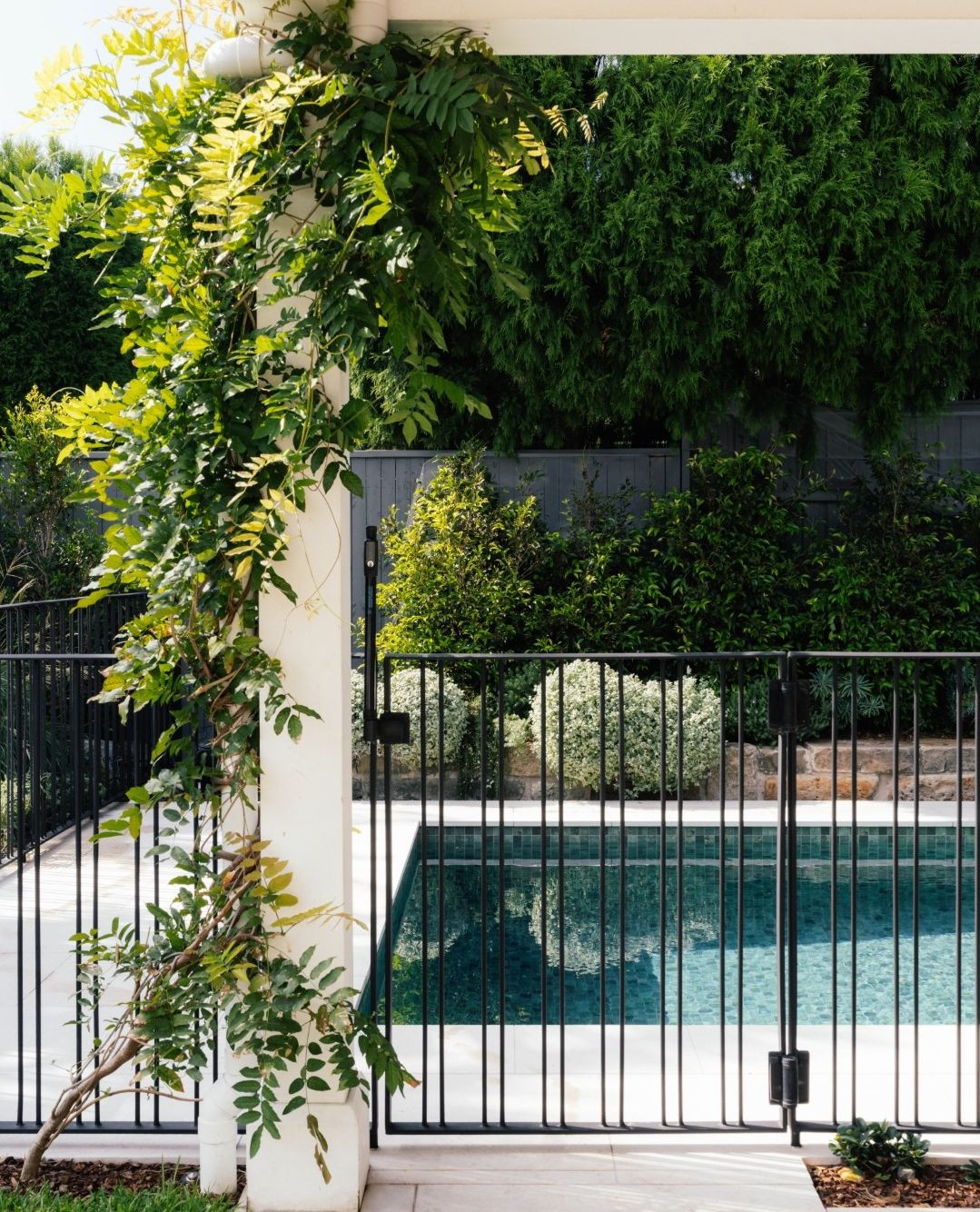 DESIGN WITH INTENTION //
We know you're so excited to get your new pool and plenty of effort goes into the shape, colour, the step layout, the tiling. But what we often see is that the pool fence is a bit of an afterthought - when the decision fatigue is real!
Your pool fence is not just a compliance checkbox. It is a design opportunity.
At our Belleview Hill project, the pool fence was designed with the same intentionality as every other element in the space. Custom steel, elegant proportions, framing the pool like a picture rather than feeling like a cage.
And while the pool is certainly stunning, this fence is really its little black dress.