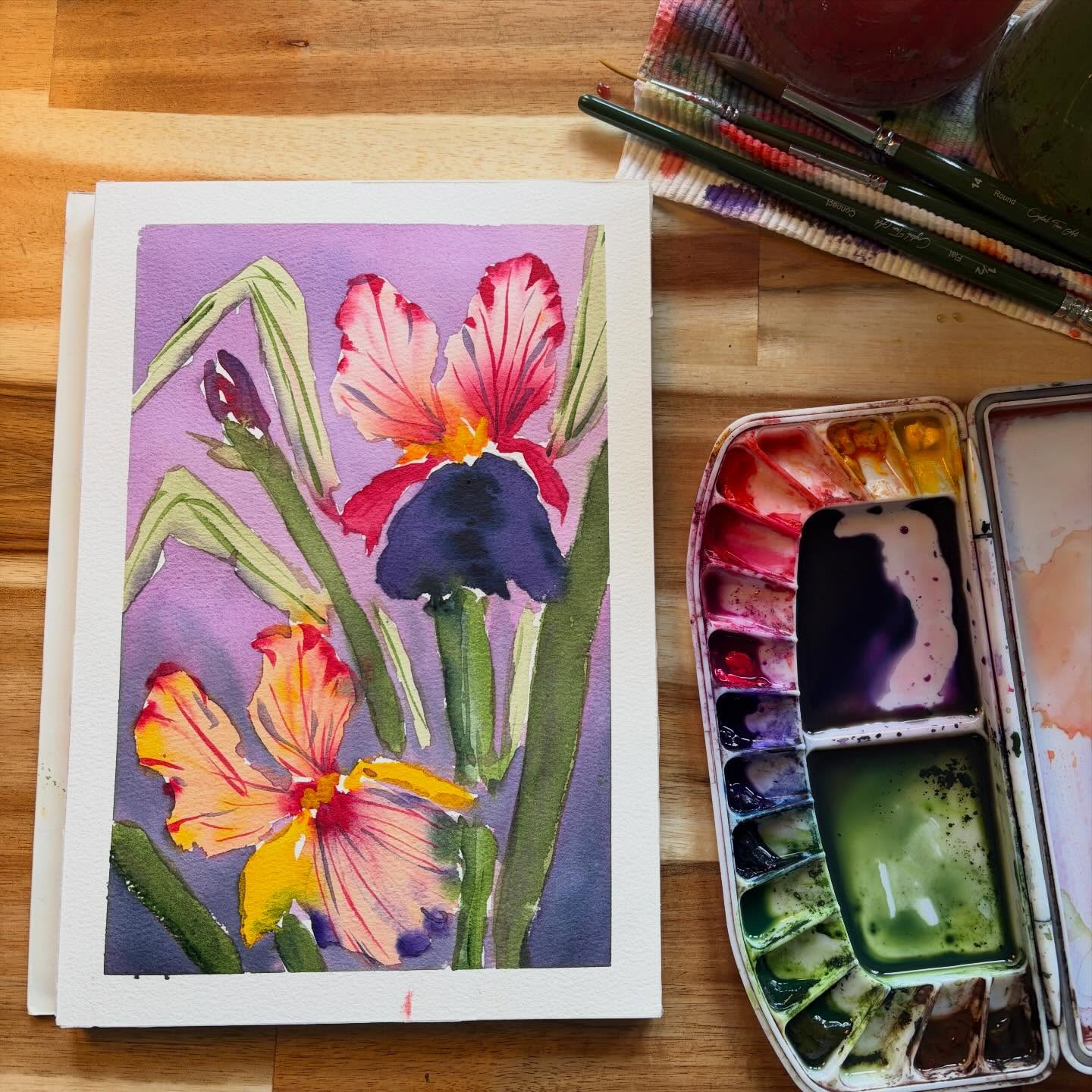 More iris love today. Thanks to everyone who painted with me again LIVE today!
#watercolourart #watercolorfloral #looseflorals #irispainting #watercolourflorals