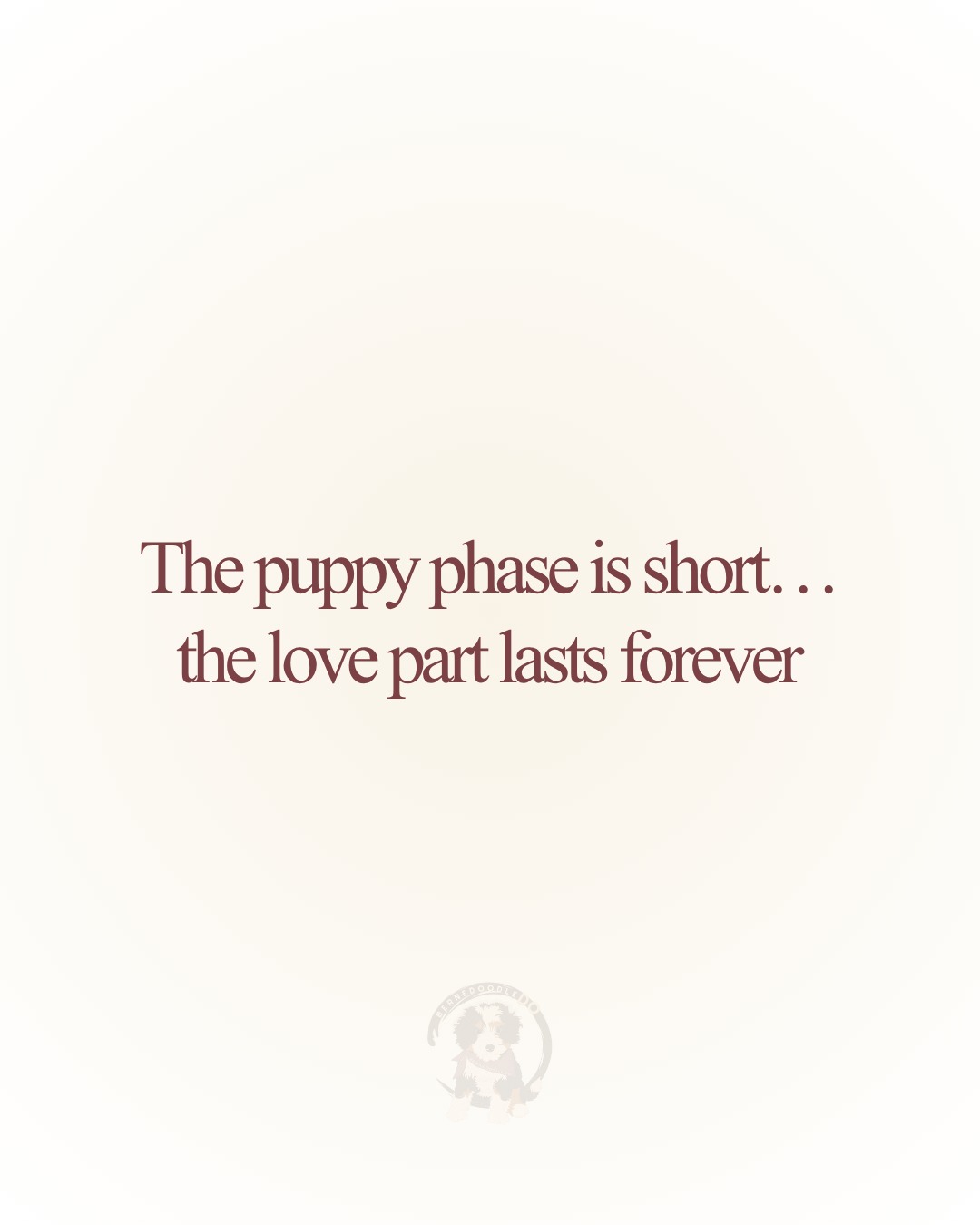 The tiny paws grow fast, but the memories stay with you forever 💛
#BernedoodleDO #PupDailyPost #PuppyLife #BernedoodlesofIG #PuppyLove