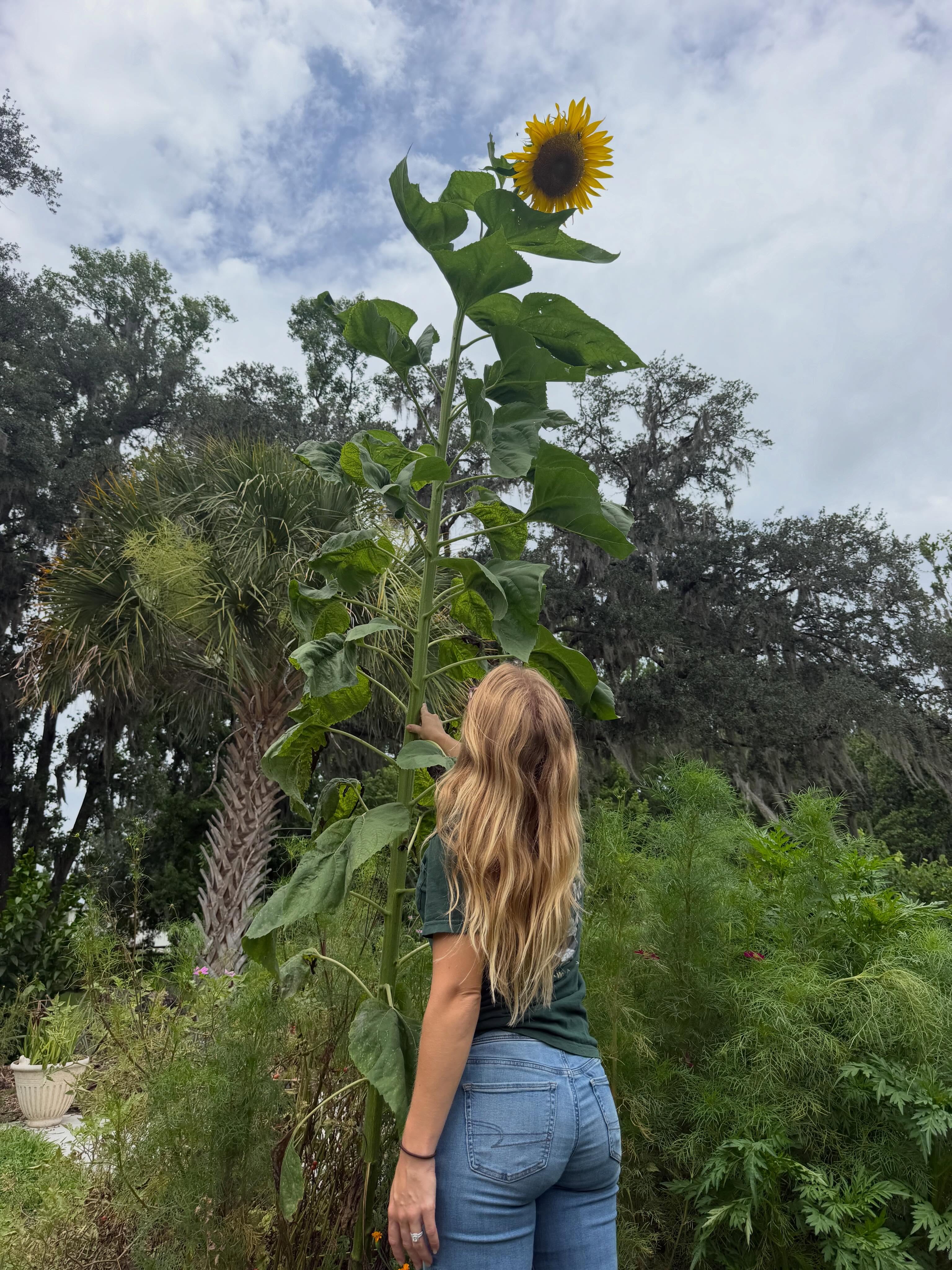 🌻 Keep growing. Keep reaching.🌻