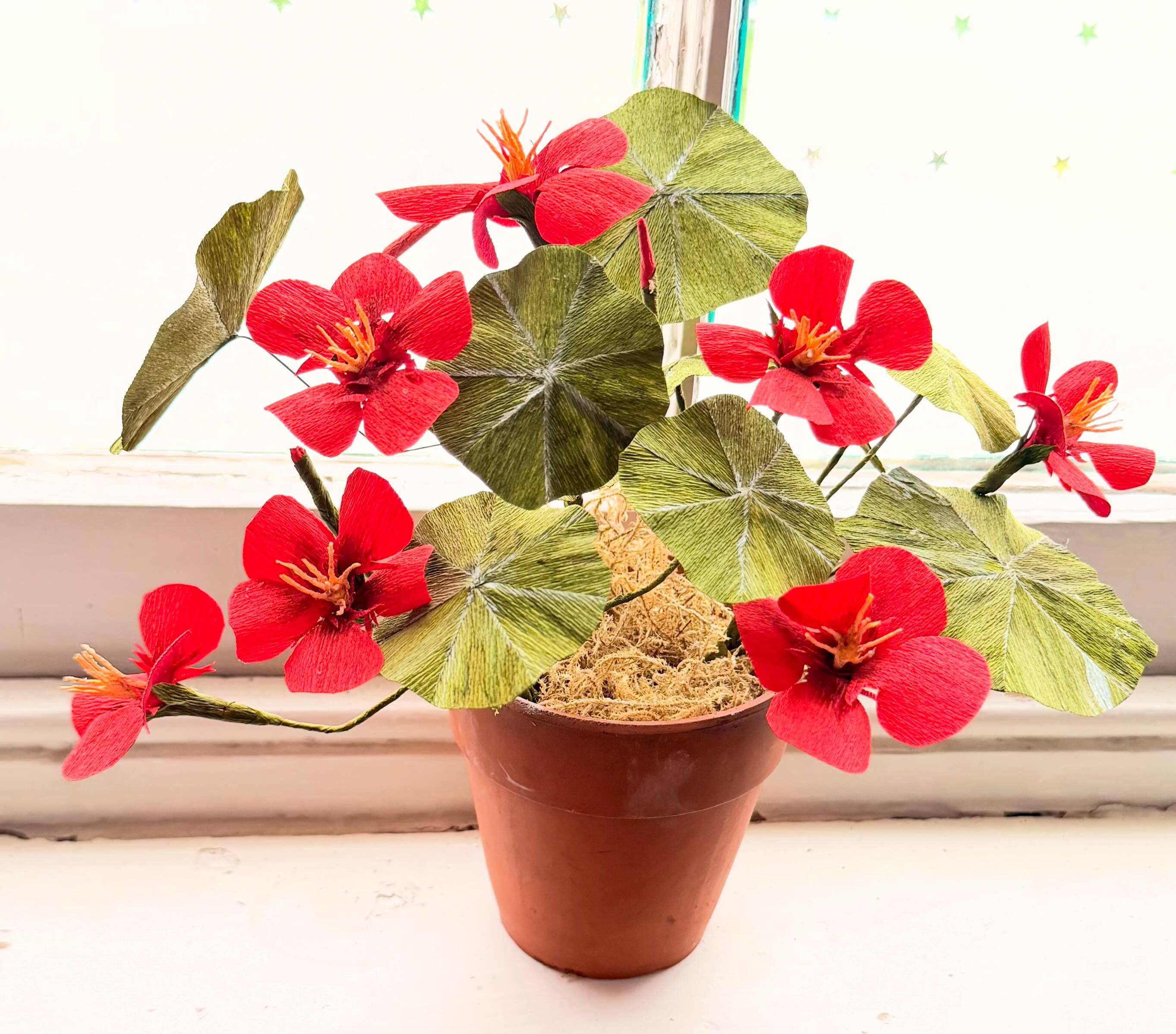 Good enough to eat! More floral flim-flammery for you to feast your eyes on! 💚♥️ I’m making up more of these sweet little flower pots with nasturtiums today. I love the contrast of the red and green and will be using this winning colour combo in my geraniums. I have been experimenting with paint and ink to create the shield like variegated leaves and I’m pretty happy with the results. More workshops are planned for September and November at the wonderful @westhopecollege with a seasonal flower pot and mistletoe bunches in time for the festive season. My crepe paper flowers are sometimes waxed but I think these look perfect as they are. They will soon be for sale on my website. #paperflowercreations #nasturtiumflowers #gardeninspiredflorals #itsallinthedetails #lovenature