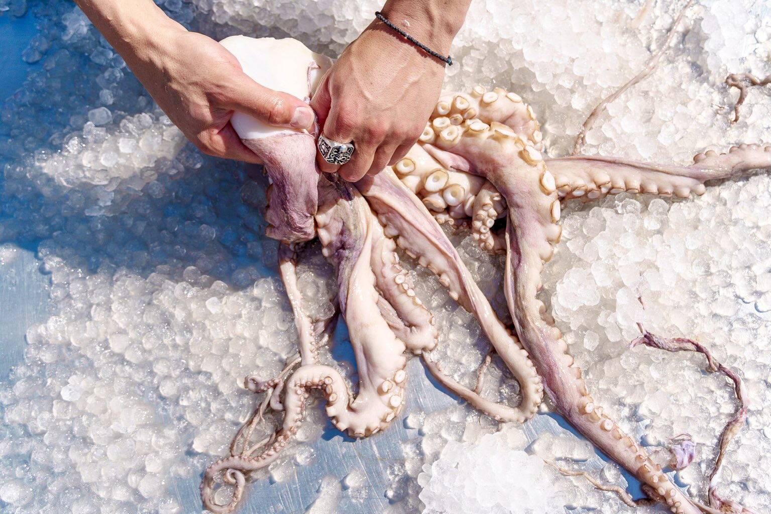A glimpse of some of our partner-favorite seafood.
⭐️ MSC & HACCP Certified
Become a Sea Kings partner: www.seakings.com.au
#australianseafood #seafoodwholesale #foodservices
