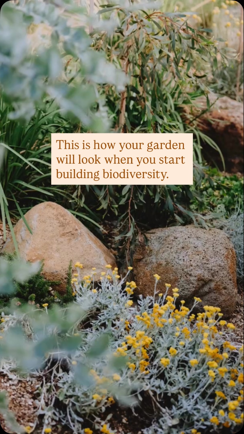 This is how your garden will look when you start building biodiversity.