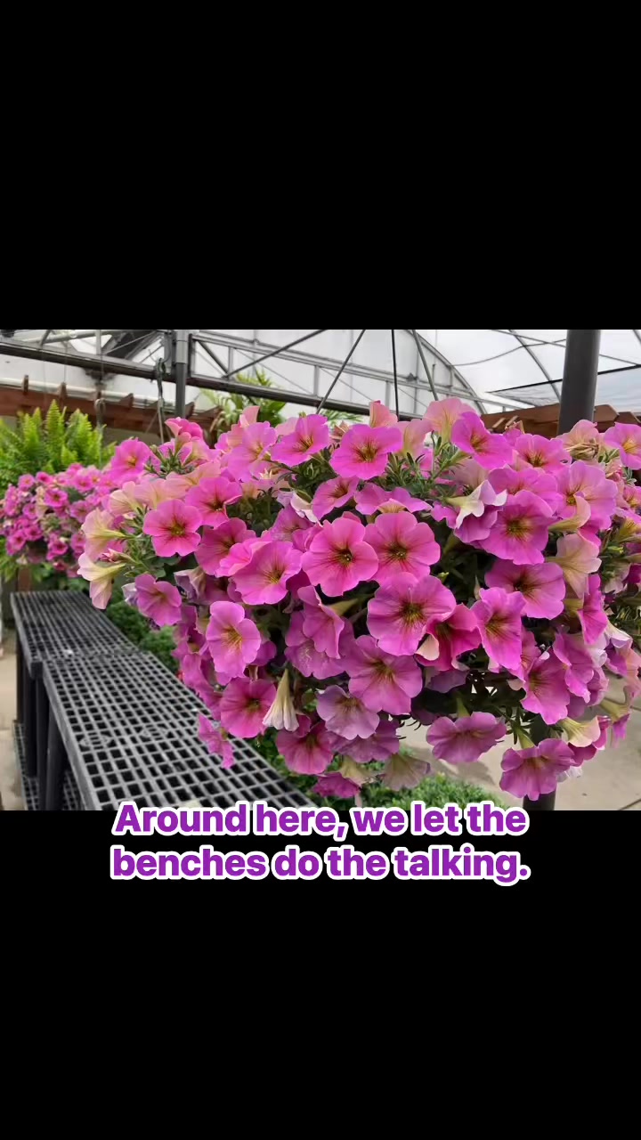 Our primary focus will always be the flowers—ensuring every single annual and perennial that leaves our greenhouse is healthy, strong, and ready to beautiful your home. We believe that when you prioritize quality above everything else, it shows.
But don't take our word for it. Come take a stroll through the greenhouse and see the difference for yourself today! 👋
#SupportLocalDayton #GardenCenter #PlantLovers #OhioGardening #GreenhouseInspiration