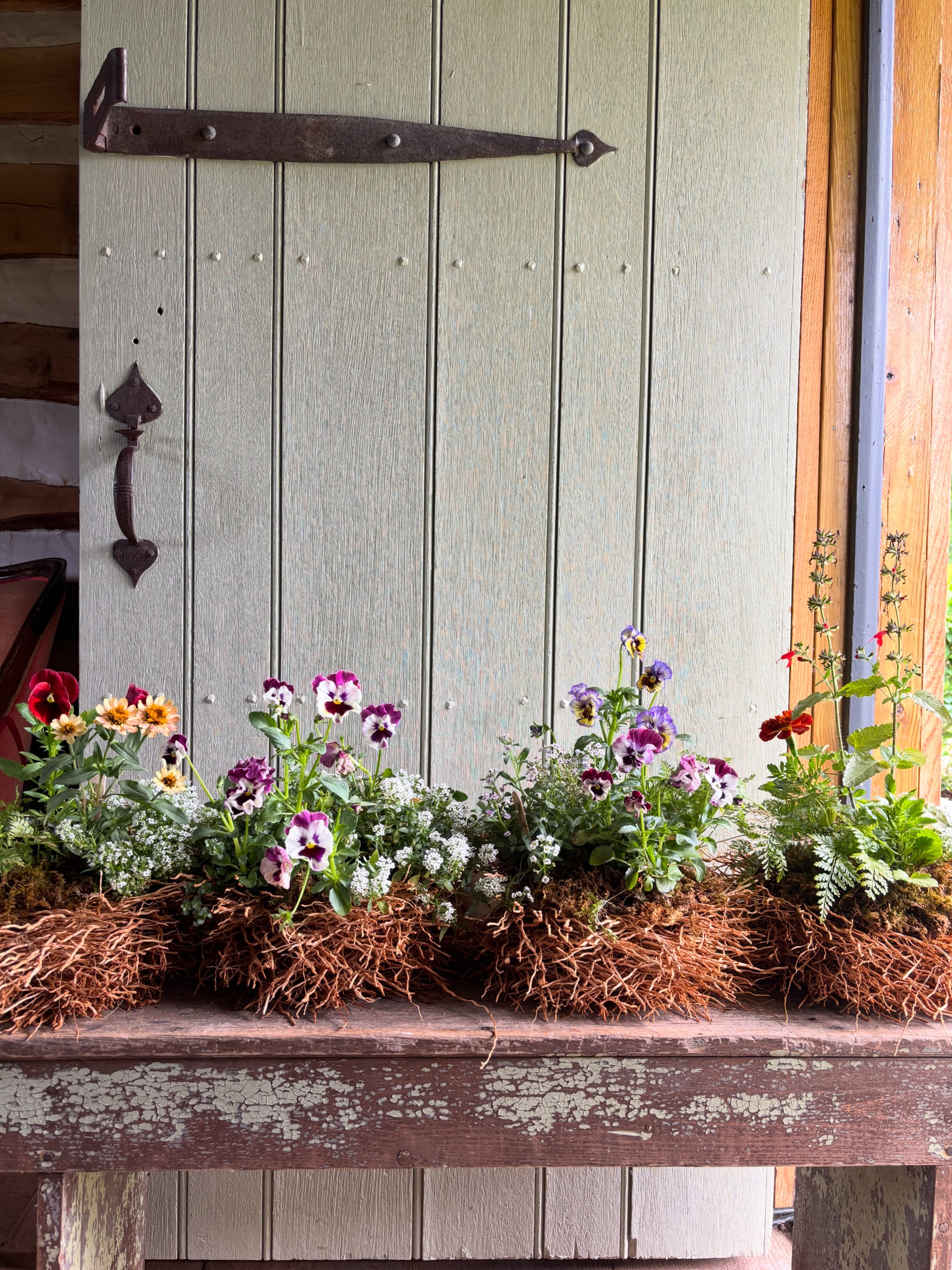 Bird's Nest Arrangements, available now on the Flower Truck. These grab and go planters are sure to bring charm to your outdoor space this season.
You may even acquire a resident bird!
$75, limited quantity, natural material
Message me to pre-purchase and pick up or visit the Flower Truck any day of the week.