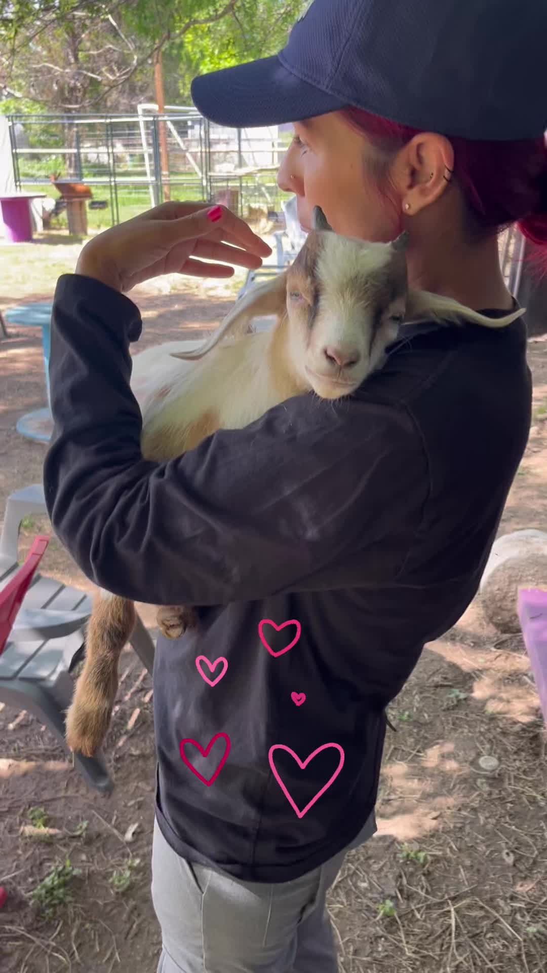 Sometimes all you need is a really good #goat snuggle. 🥰
#goatsnuggles #BabyGoats #babygoatsofinstagram #goatfarm #goatshenanigans