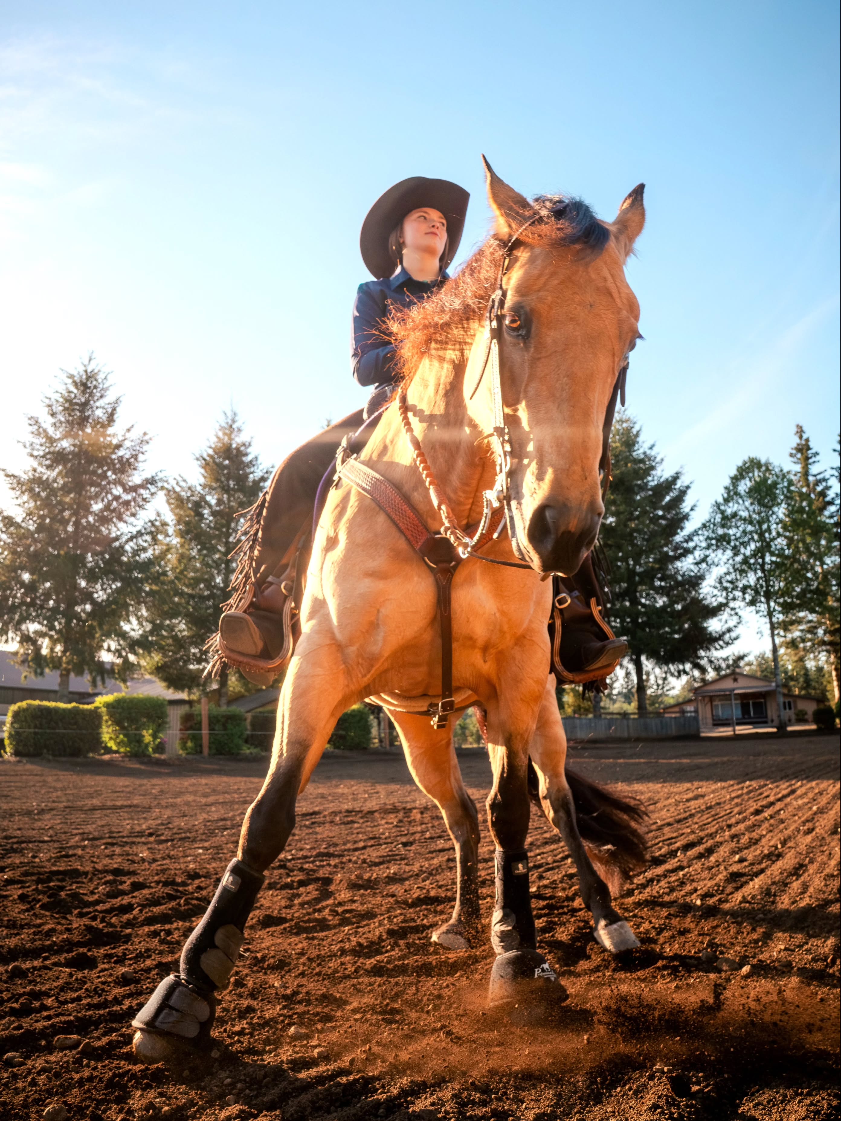 Spinnin into a new perspective with @josie_zimmer_ + MSC Can't Stop Slidin aka "Miley" 💫
Our first Ambassador shoot was so much fun! Be sure to give her a follow and look out for a 20% discount code for Equine Photo Session with us!