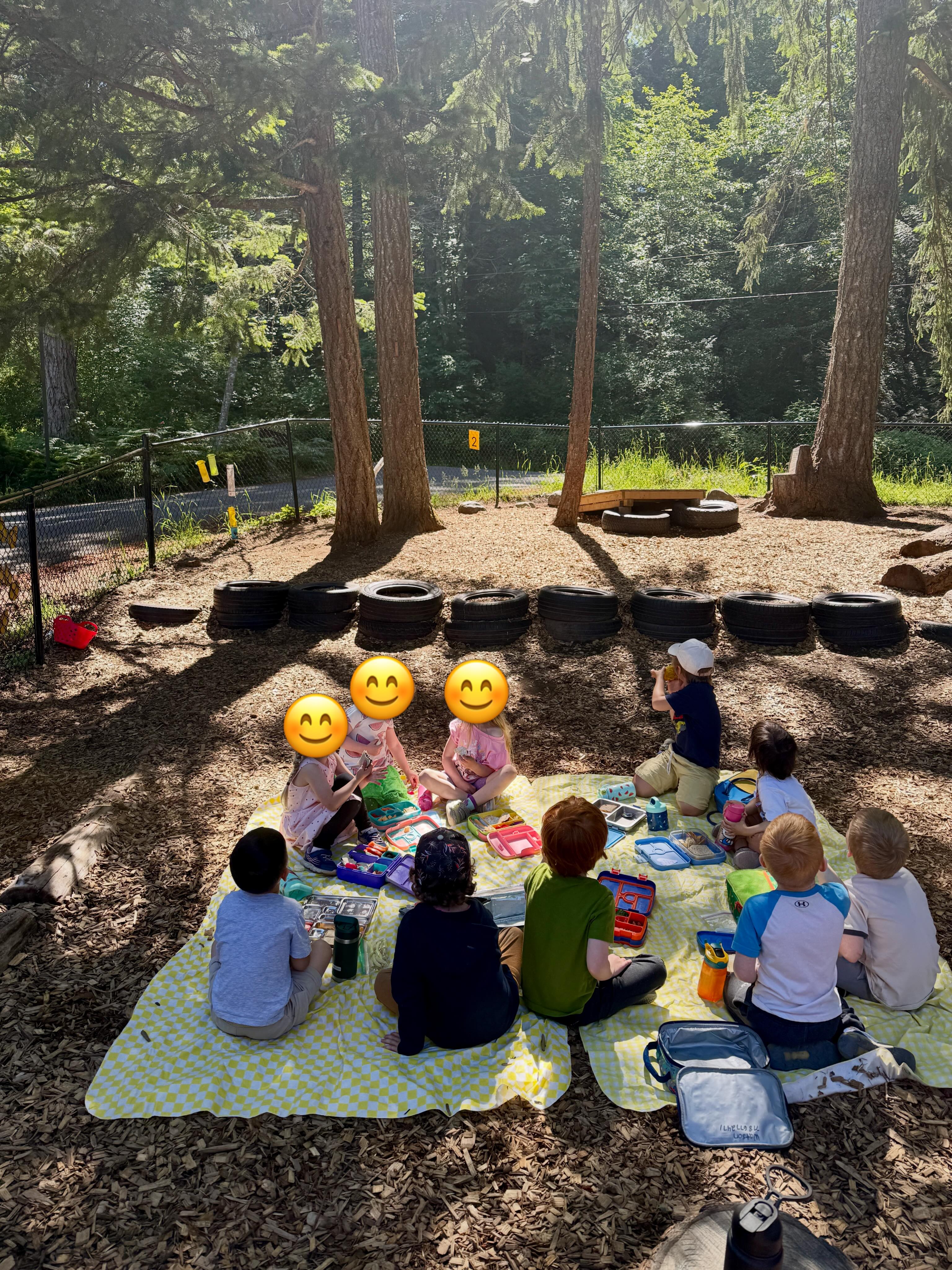 Picnic lunches, the best kind of lunches 🧺 🐻