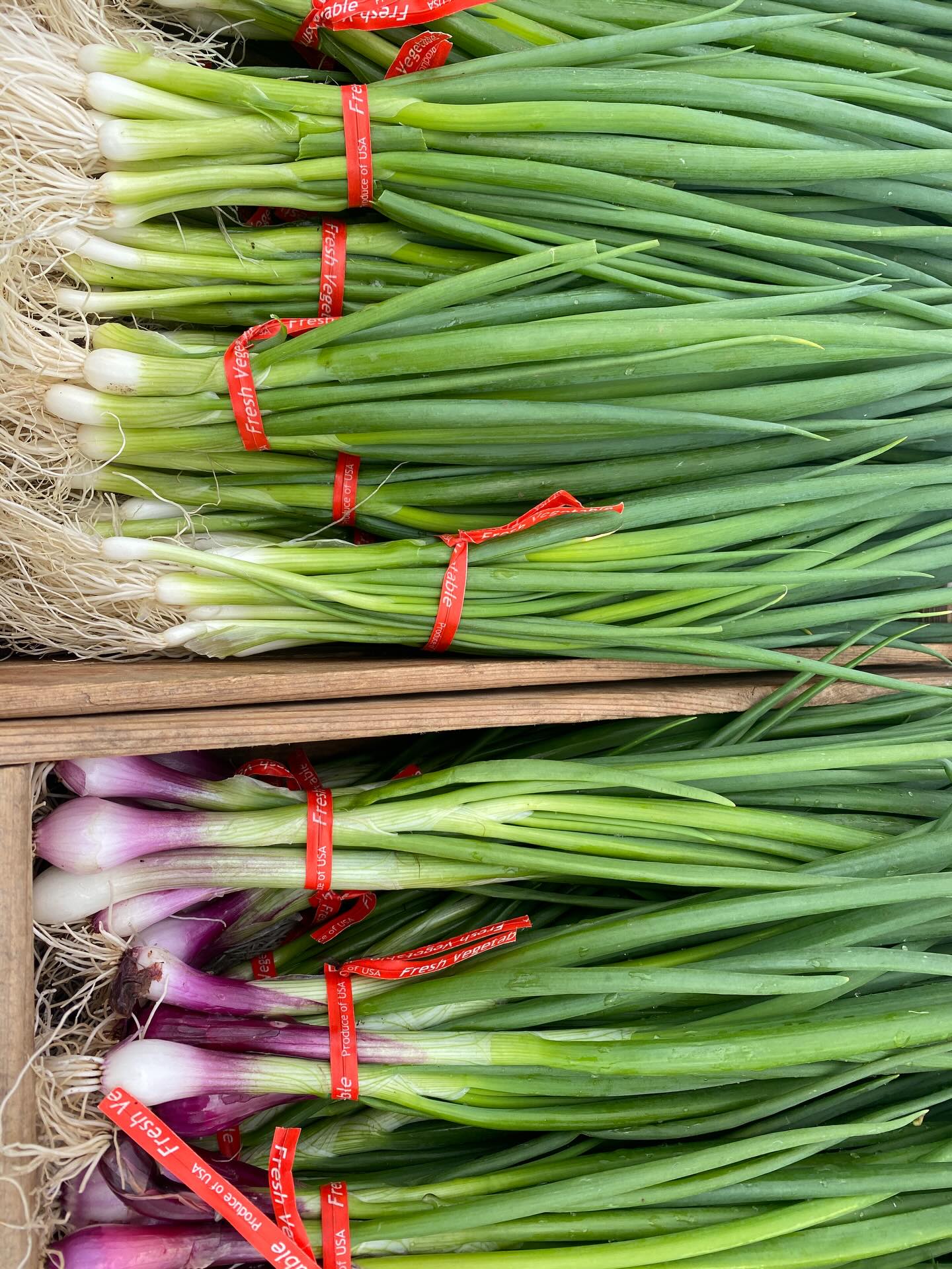 Market scenes from our booth this weekend. Open tomorrow at @greshamfarmersmarket from 8:30-2pm. #sliceofheavenfarm