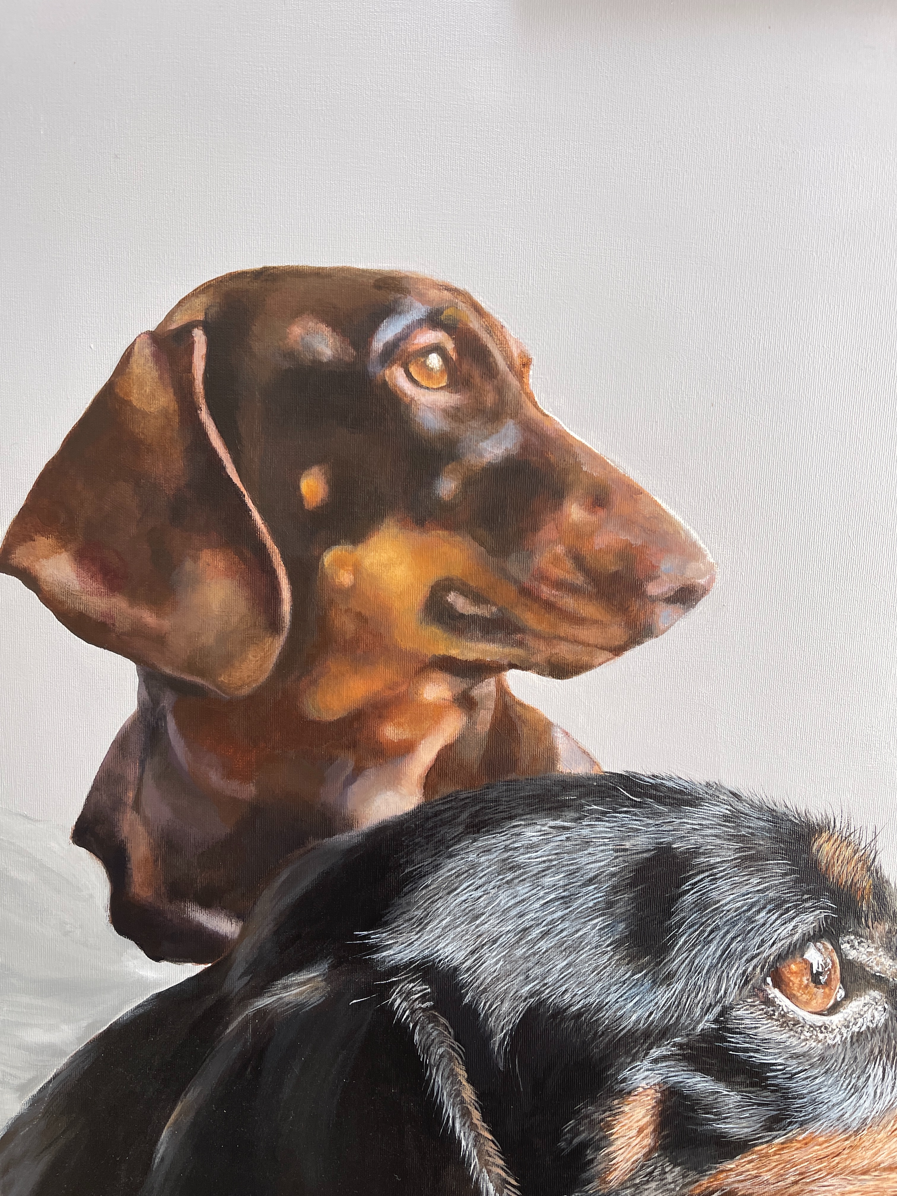 After spending time this week focusing on the detail, I spent a few hours today painting the next layer on Leo, the cute, slightly out-of-focus dog in the background.