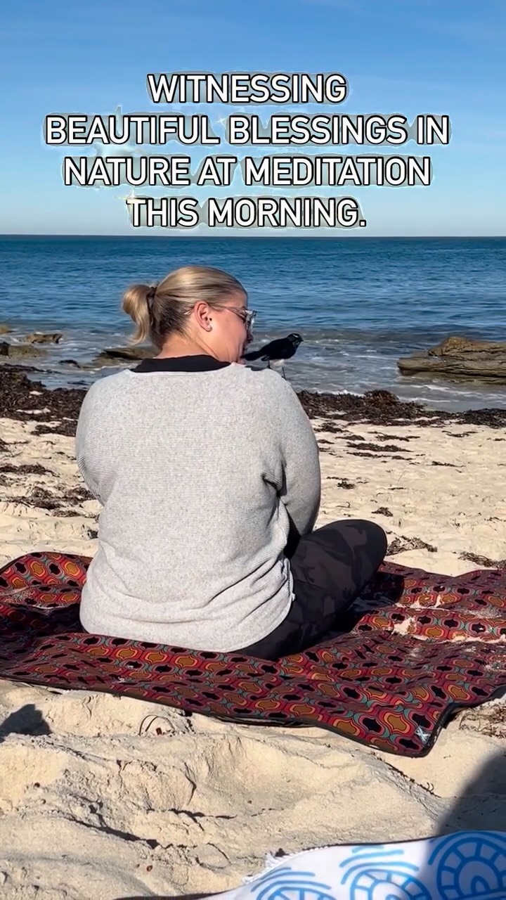 Beautiful Willy Wagtail joined us in beach meditation this morning 💖🥰
Feel so blessed to have witnessed the loving connection with nature 🙏🪽✨
Join us next week for more calm and peace in your everyday life. 🧘
www.naturalinnerhealth.com
Love & compassion
Tammy x
#naturalinnerhealth #tammymiller #beachmeditation #perthmeditation #releaseandletgo