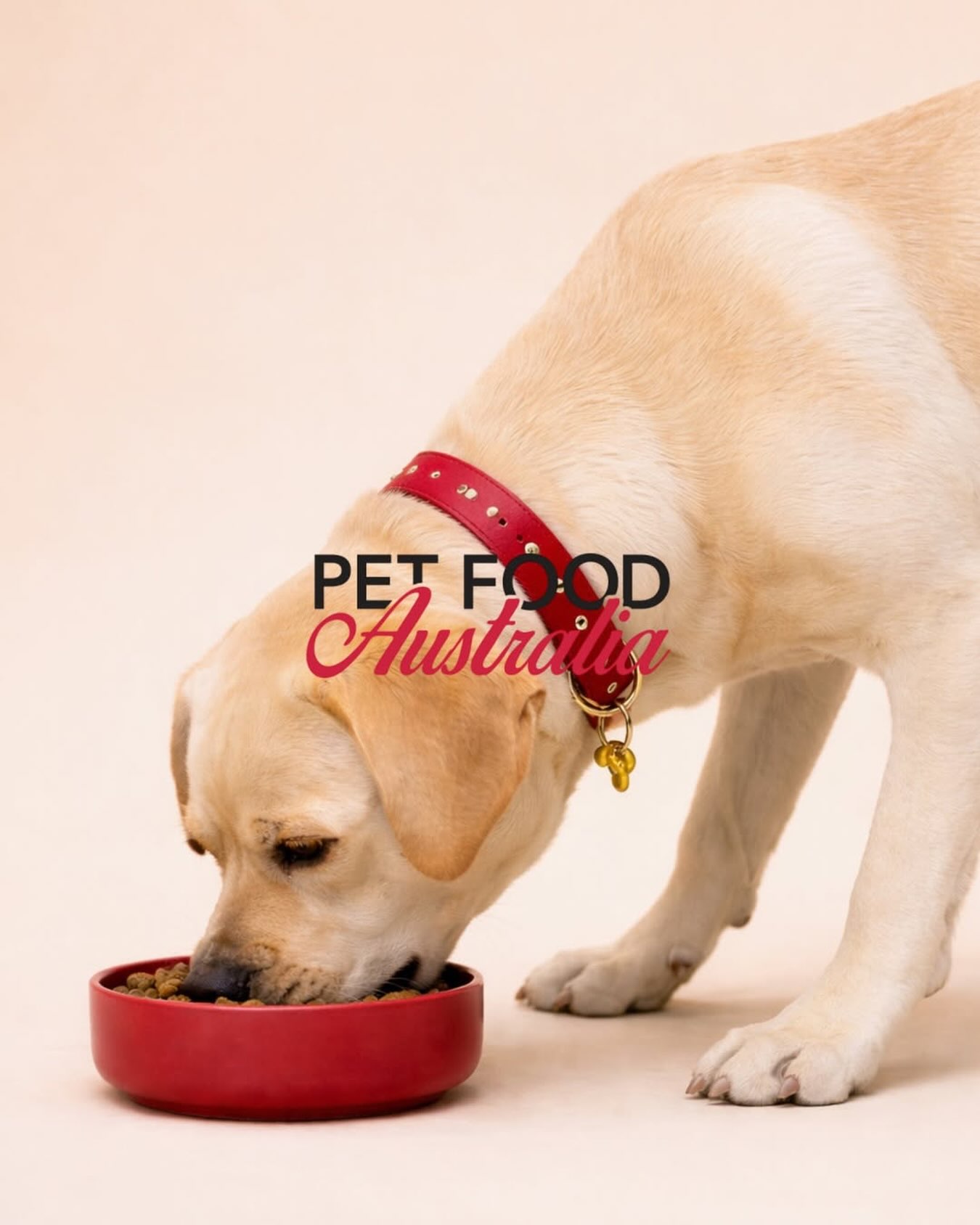 Not all pet food is created equal.
Real ingredients. Thoughtful formulation. Made for dogs who deserve better.
Shop Pet Food Australia today and see the difference in every bowl.
#PetFood #dogs #vetlife