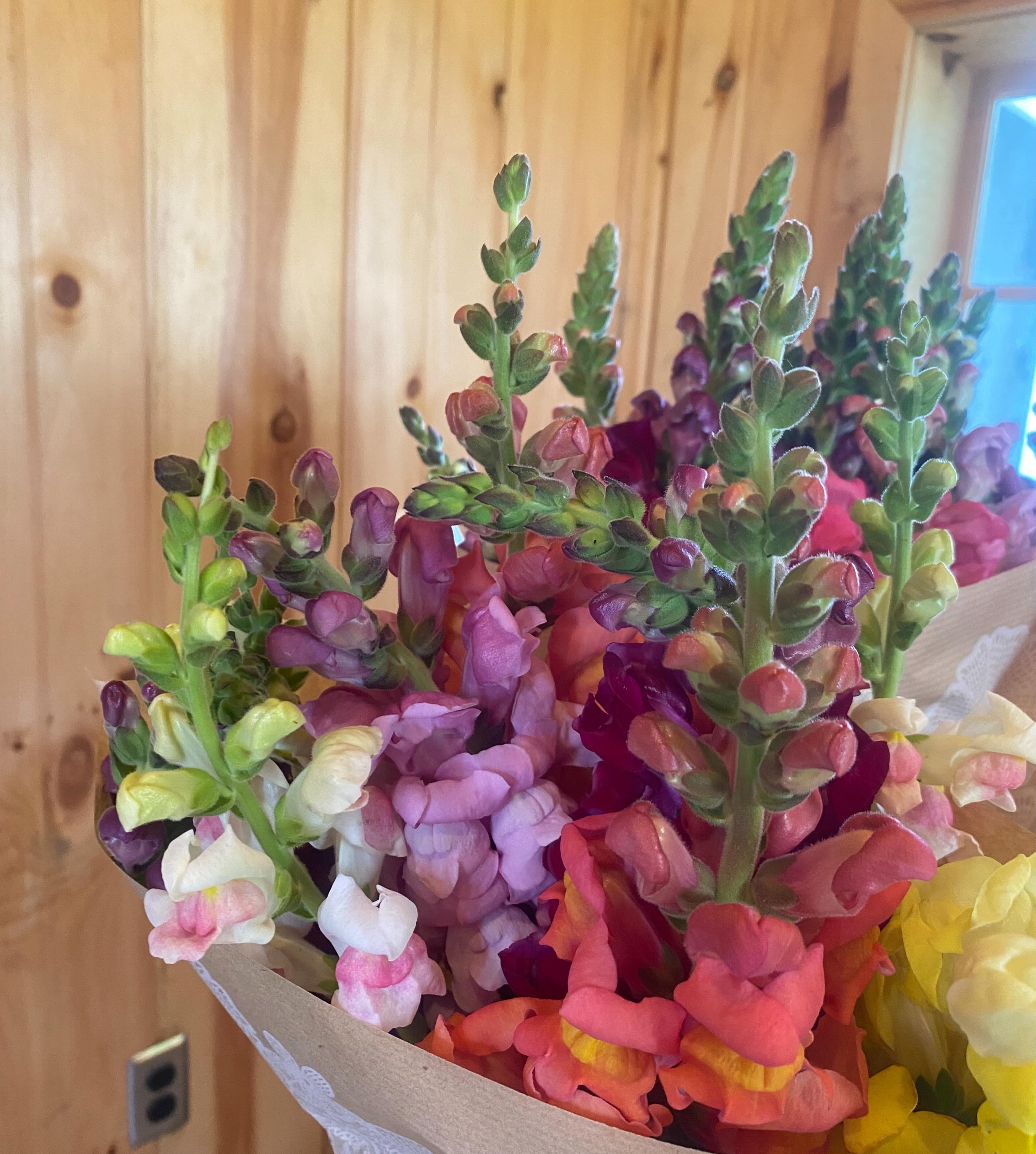 🌸We have a rainbow selection of snapdragons, foxglove and some mixed flower bouquets at the farm store this week!
Potted herbs like rosemary, lavender, holy basil, hibiscus and more
Our herbal product line including samples of our Hydrosols.
Open Tuesdays-Saturdays 10-4pm
397 Letort rd
Millersville Pa