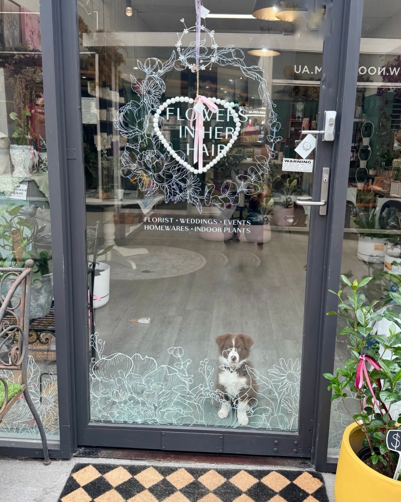Closed Monday for the Kings Birthday Party. 🥳
Back with all the fresh florals Tuesday 💐