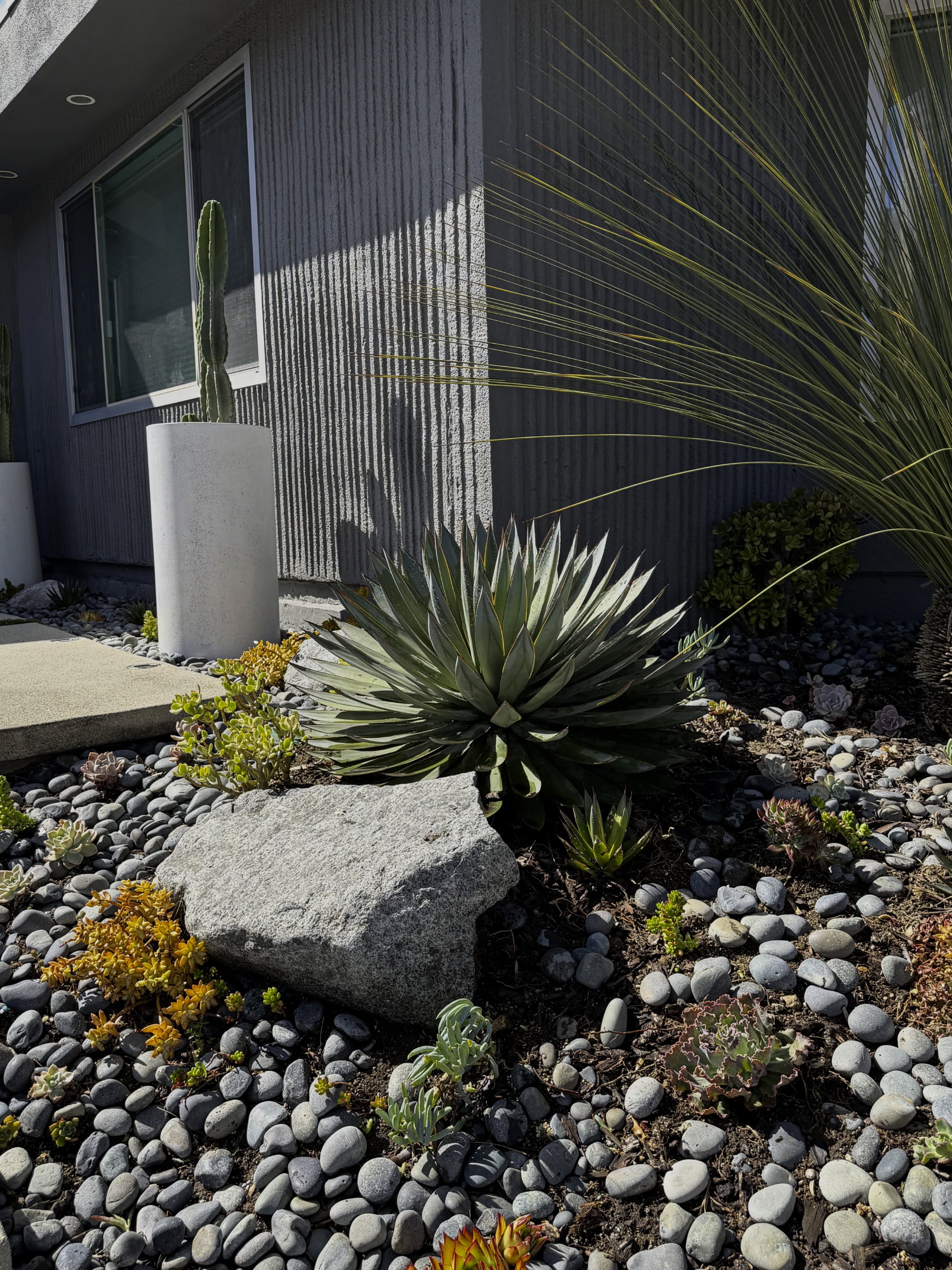 Project Dona Nenita.
Drought tolerant, low maintenance & gorgeous.
#simplegarden #droughttolerant #virgodesignsandlandscaping #projectdonanenita #landscape