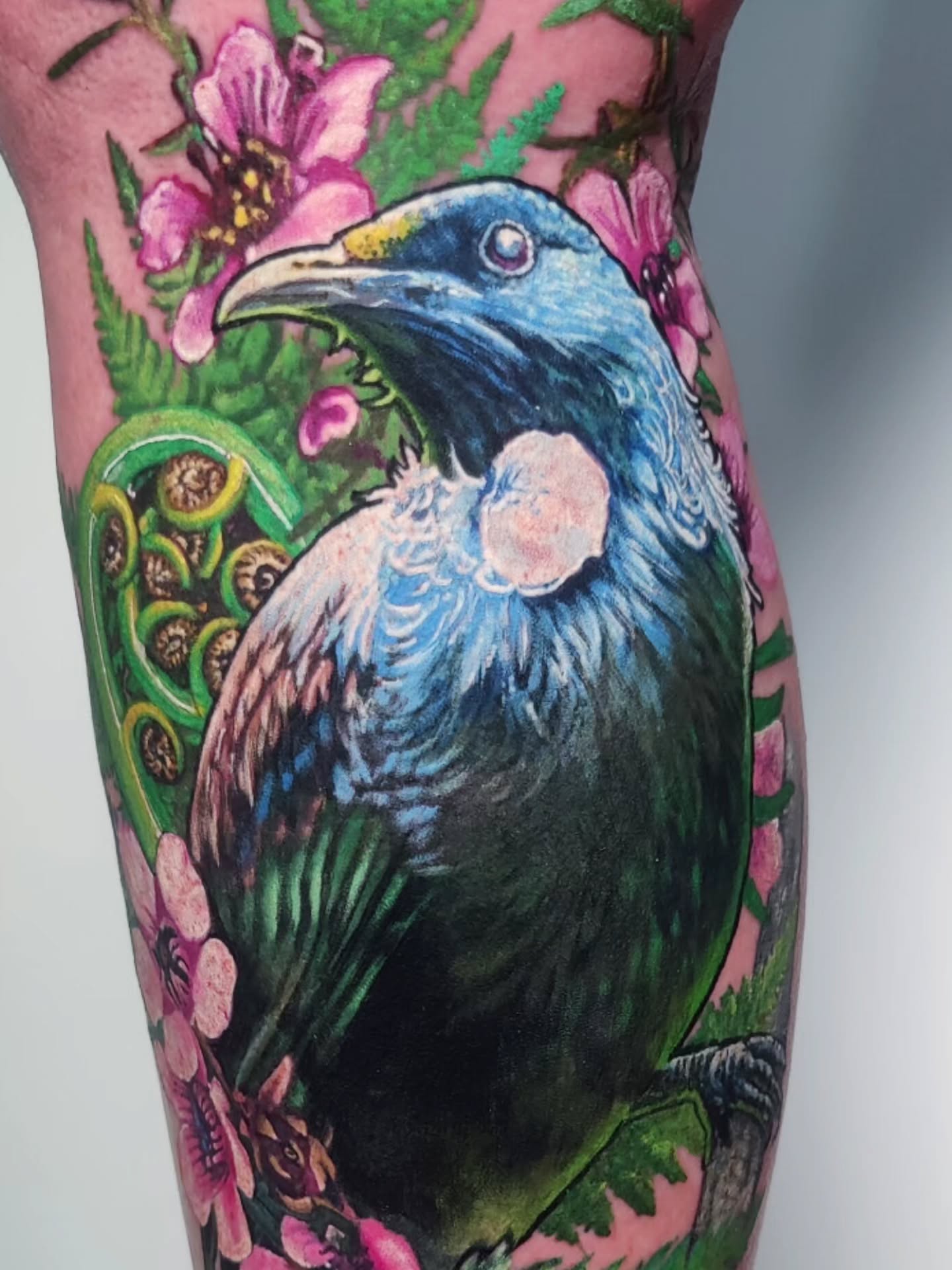 Beautiful little Tūi birdie with pink manuka flowers. Thaaaaanks.
.
.
.
..
@intenzetattooink @eztattooing @ghostlineapp @afterart.newzealand @inkpro_nz @fkirons @hustlebutterdeluxe #intenze #intenzeink #intenzeteam #afterart ghostlineapps