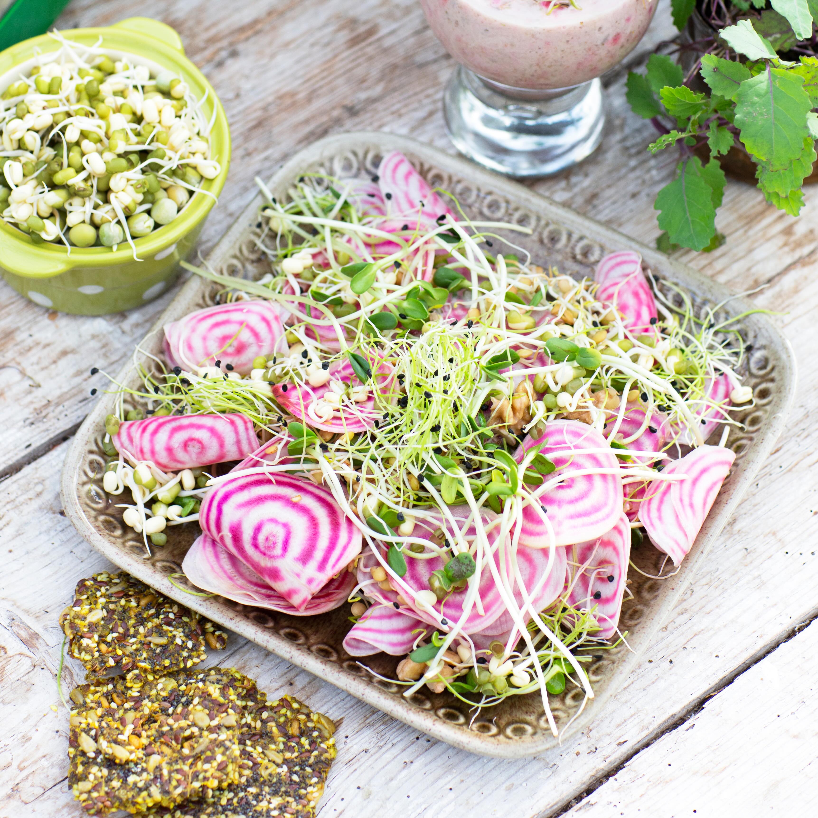 Sommarsallad, sommarens enklaste favorit 🌱☀️
Här har vi bland annat polkabetor, purjolöksgroddar, böngroddar, solrosskott och valnötter i en fräsch sommarsallad, men det fina är att man kan variera i oändlighet. Testa med broccoligroddar, rädisgroddar eller linsgroddar nästa gång