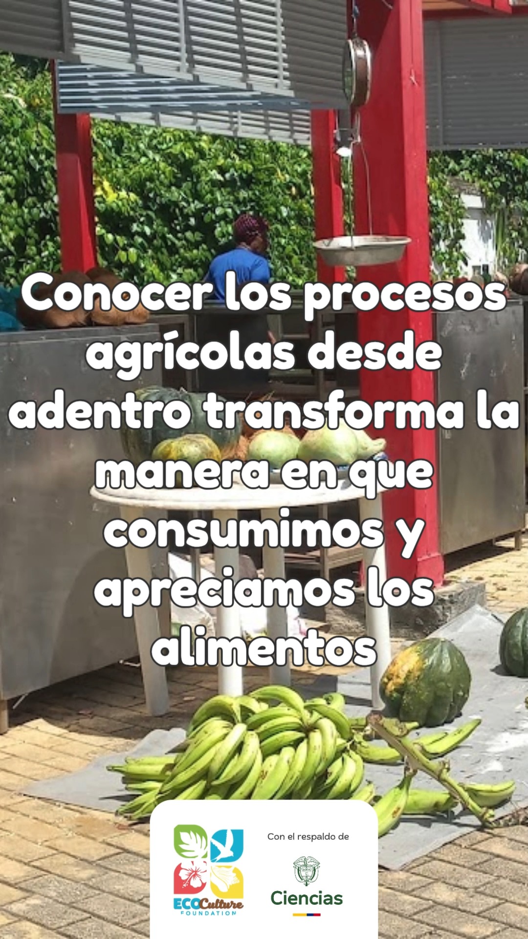 Entender de dónde vienen los alimentos nos ayuda a valorar el trabajo, el tiempo y los recursos que hacen posible cada cosecha.