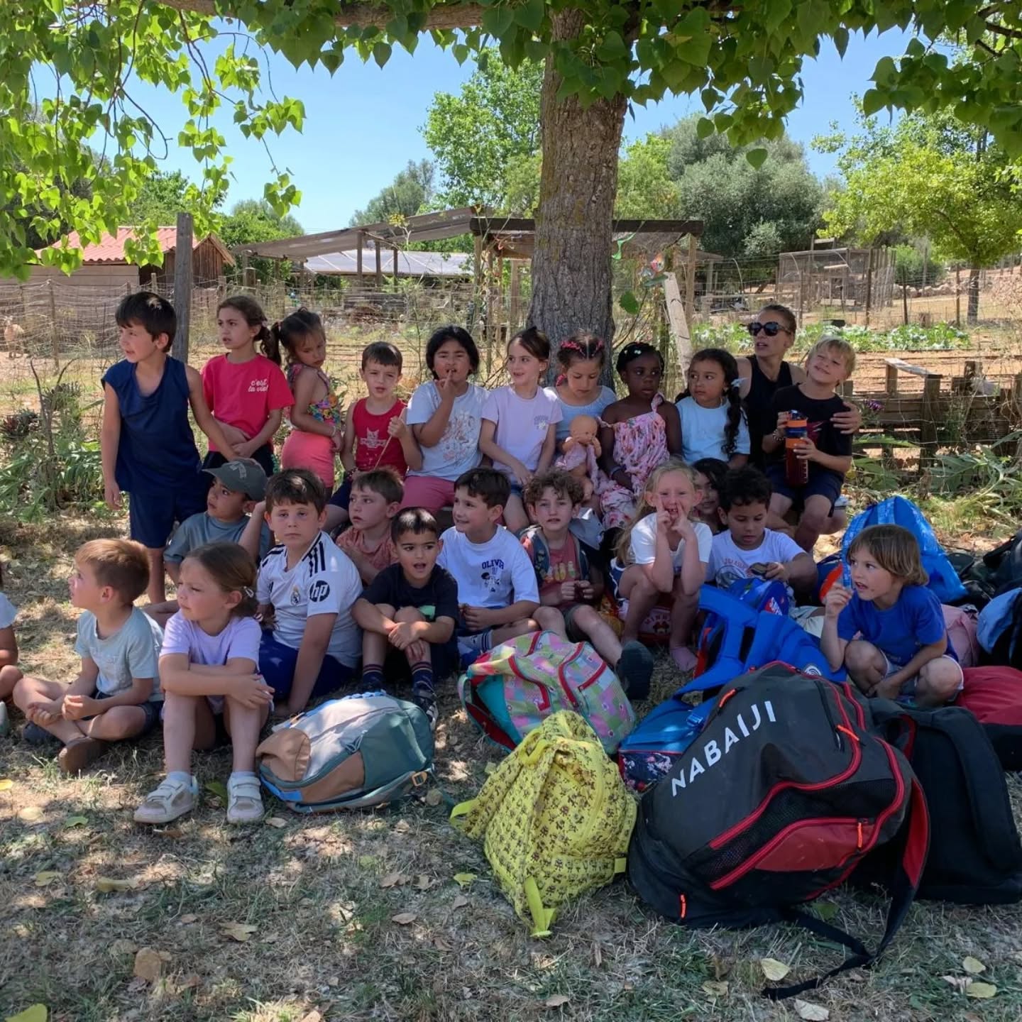 🍕Colònies inoblidables a L'Olivaret!** 🌲✨
Ahir i avui els infants de 5 anys hem viscut una experiència d'aquelles que es queden gravades per sempre. Hem estat cuiners i cuineres fent les nostres pròpies pizzes, ens hem capbussat a la piscina i hem viscut la gran adrenalina de la tirolina: una barreja de por, incertesa i unes ganes gegants de superar-nos i repetir!
Al vespre, vam sopar junts i vam sortir a la recerca de fades màgiques sota les estrelles. I el moment més màgic: **dormir tots junts amb els companys**. Per a molts de nosaltres, ha estat la primera vegada que dormíem fora de casa! 🏡❤️
Han estat dies de compartir, de conviure i, sobretot, de **créixer i fer-nos grans**.
🙏 **Volem agrair infinitament a les famílies que ens heu confiat els vostres fills i filles.** Regalar-los aquesta experiència és fer-los el millor favor del món. Sovint, com a mares i pares, la por o la dependència ens costa de gestionar, però veure com se superen ens demostra que són capaços de tot. Viure aquestes vivències en comunitat els dona una autonomia, seguretat i maduresa que no es pot aprendre a cap altre lloc. No els privem de créixer de la mà dels seus iguals!
Gràcies per fer-ho possible! 🎒💫